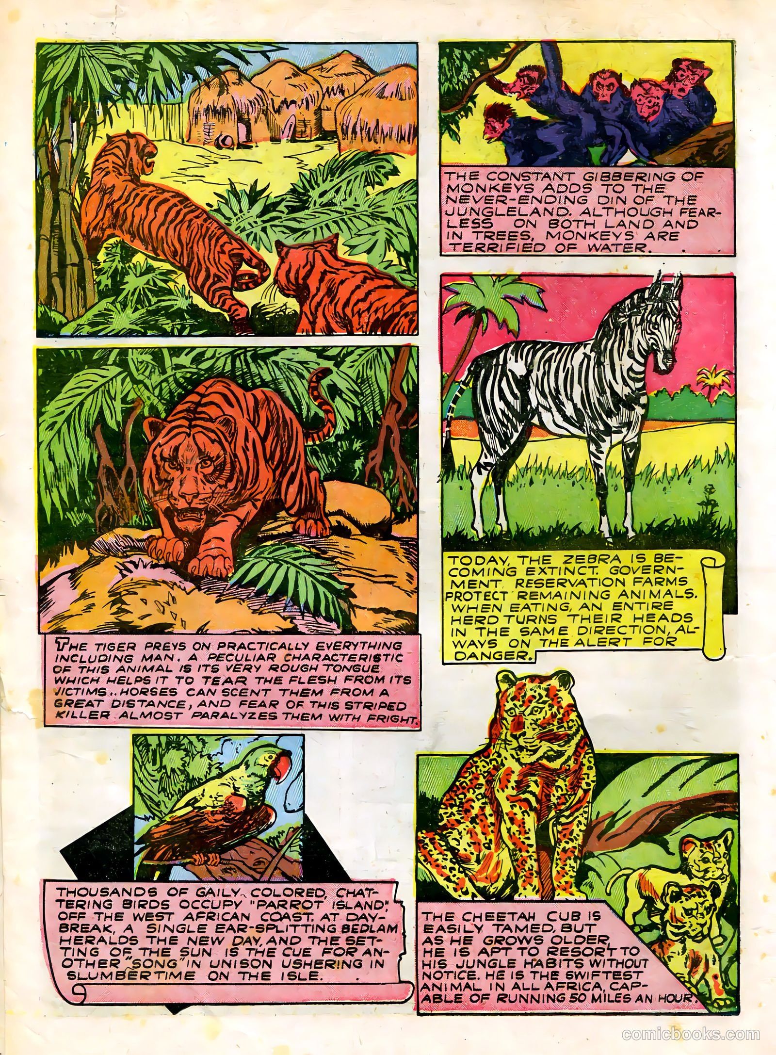 Wambi, Jungle Boy #3 (1943) — page 34 of 68