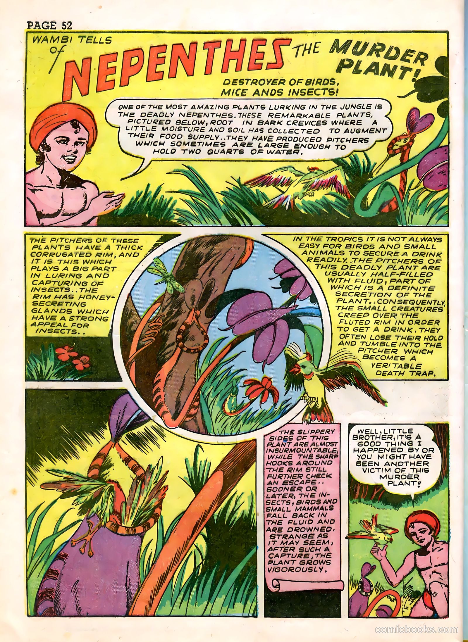 Wambi, Jungle Boy #3 (1943) — page 54 of 68