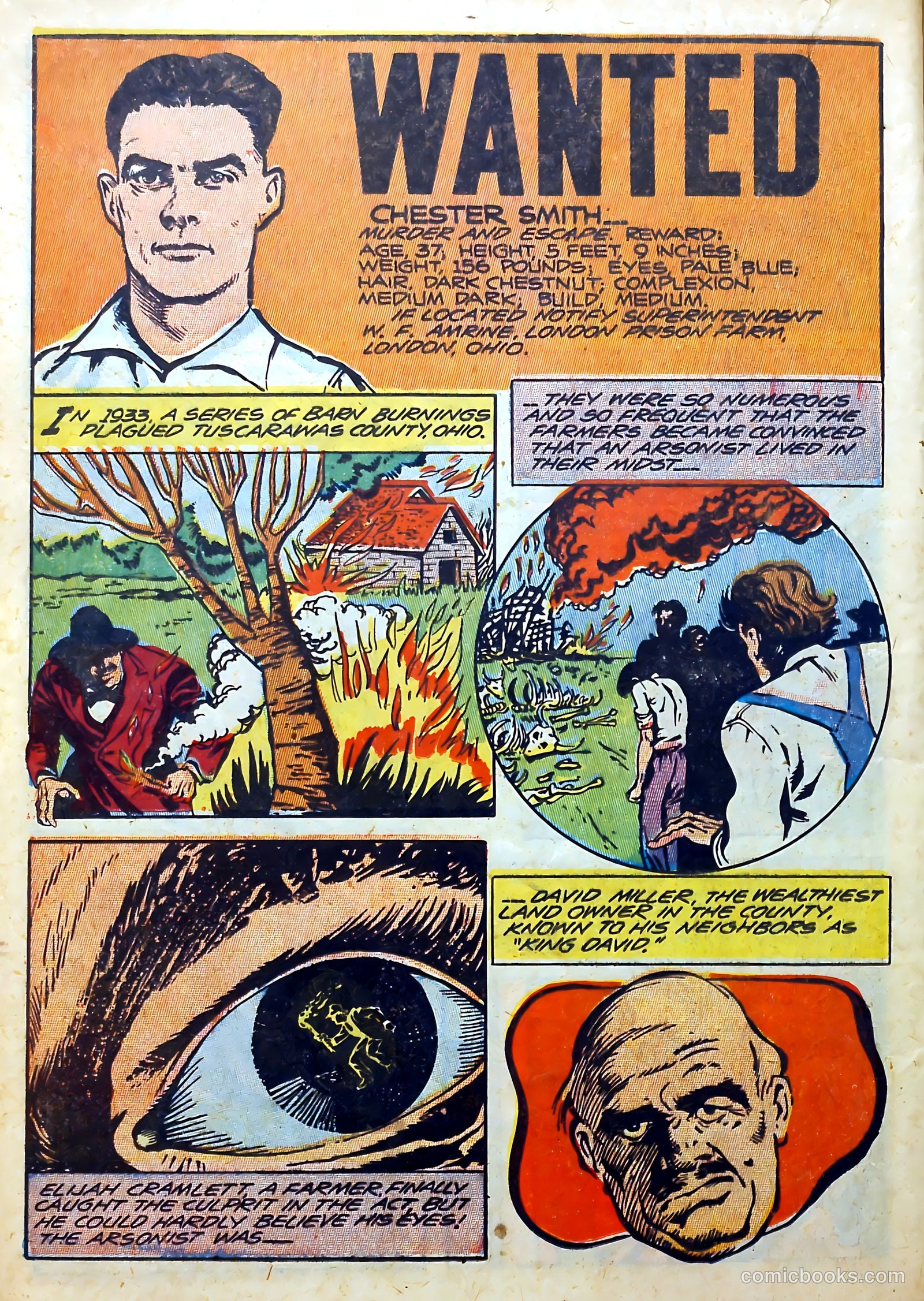 Wanted Comics #12 (1948) — page 28 of 52
