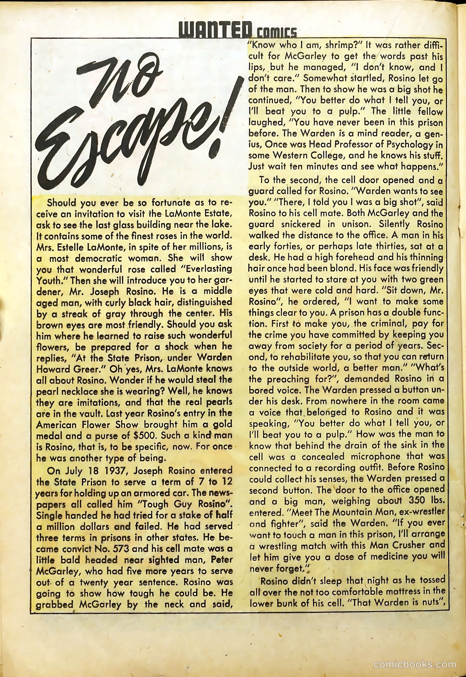 Wanted Comics #19 (1949) — page 28 of 53
