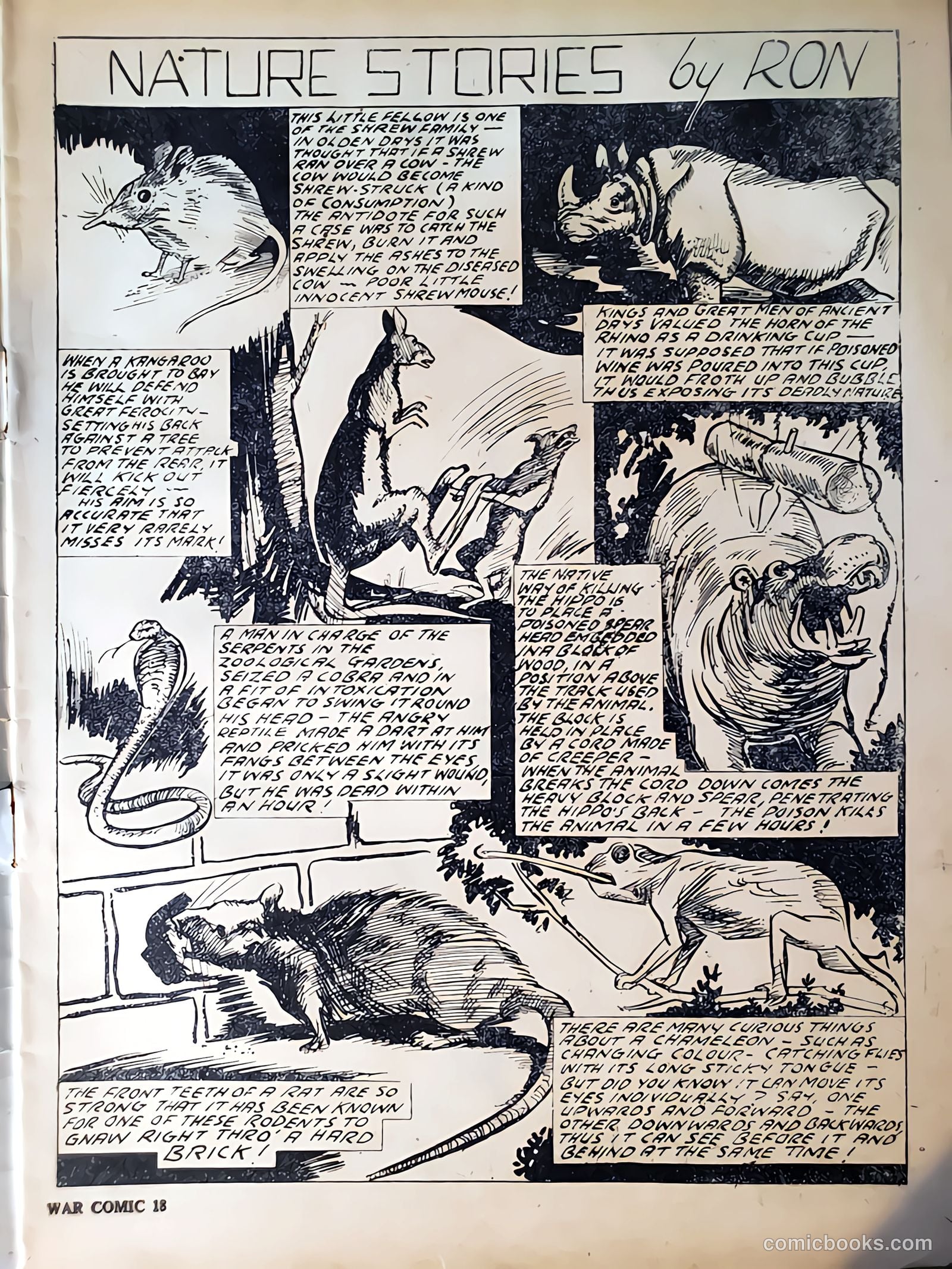 War Comics #18 — page 3 of 20