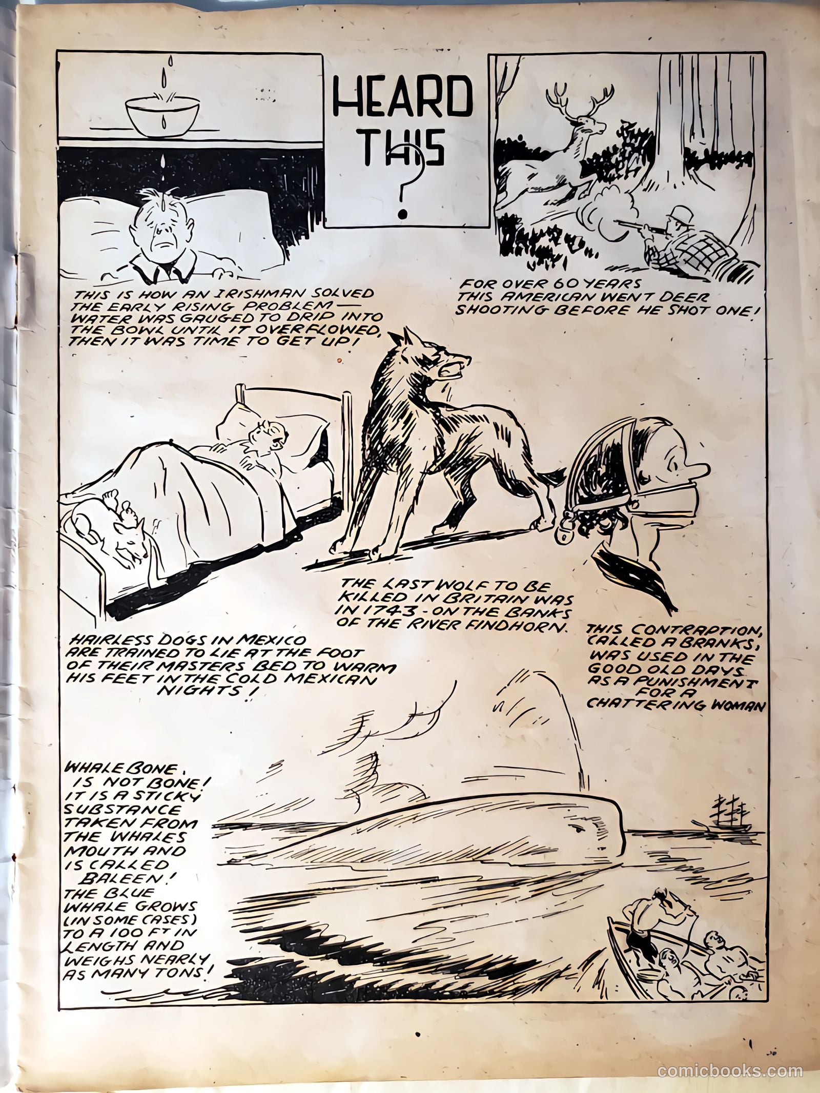 War Comics #20 — page 3 of 20