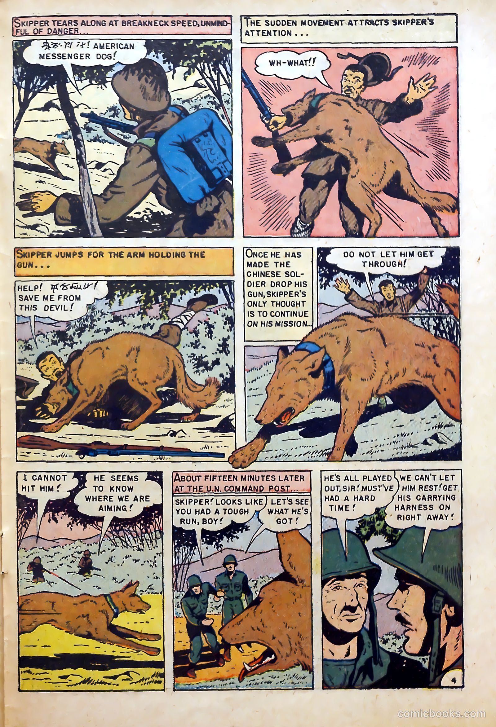 War Dogs of the U.S. Army #1 (1952) — page 31 of 36