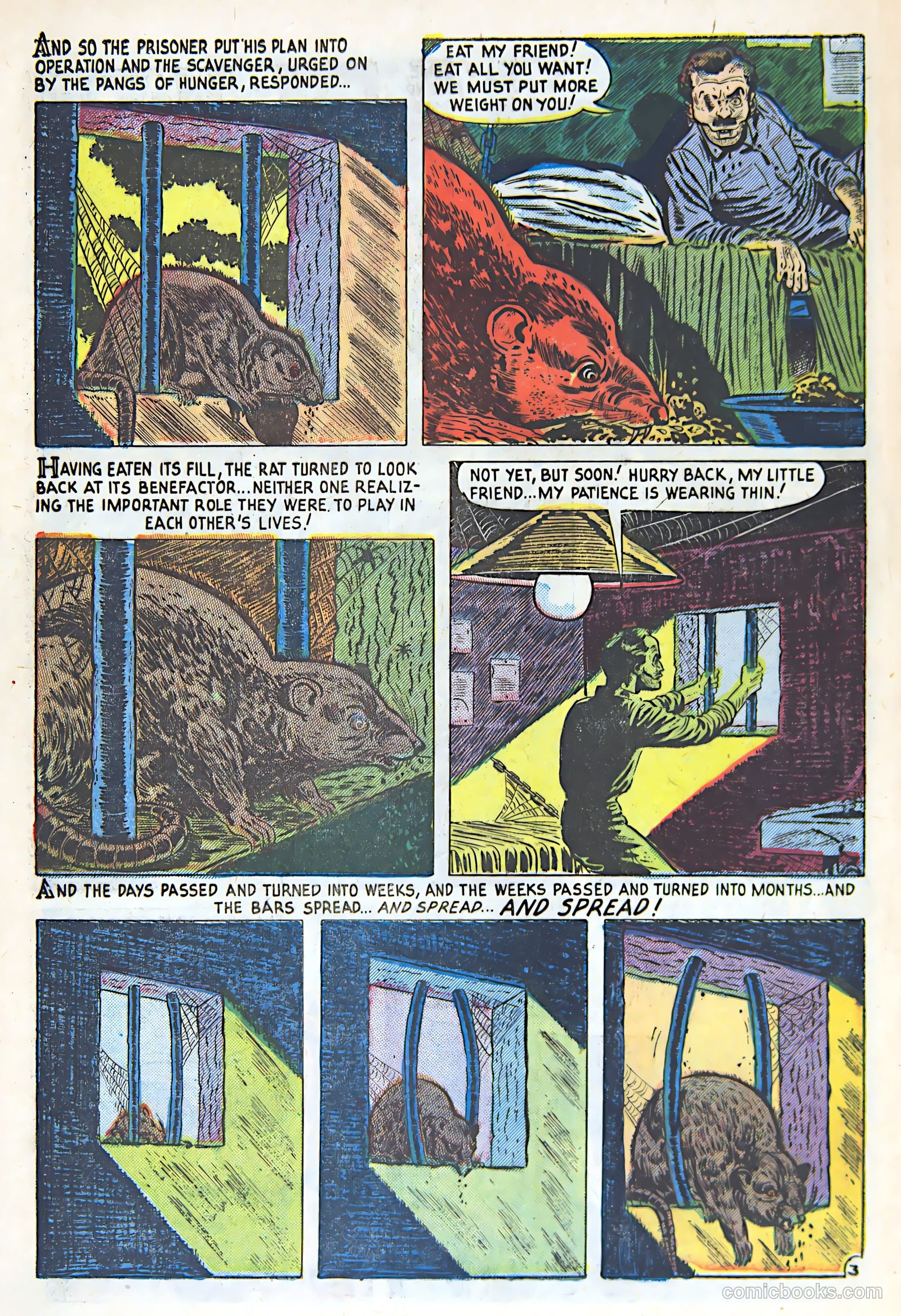 Weird Mysteries #12 (1954) — page 12 of 36