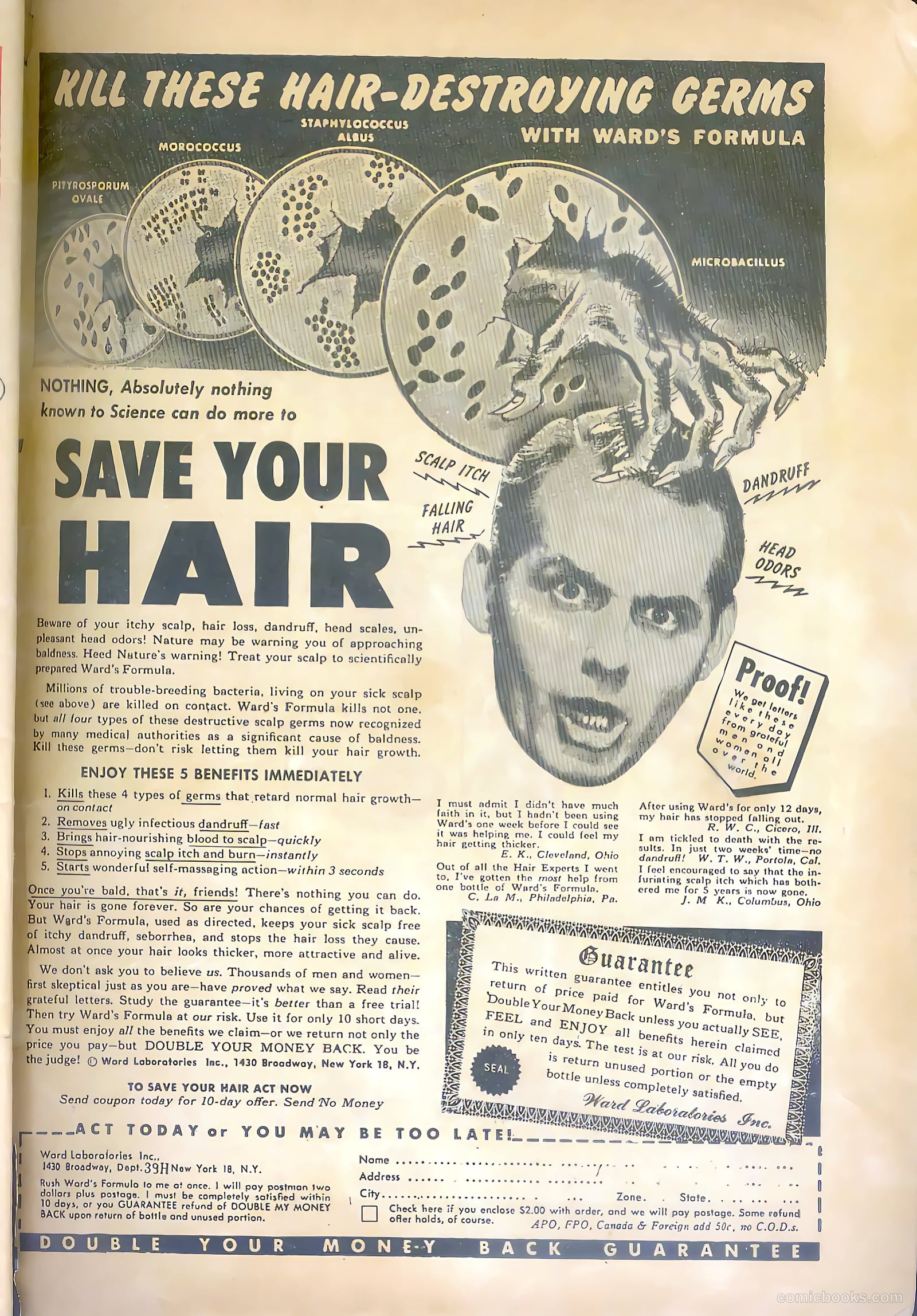 Western Crime Cases #9 (1951) — page 35 of 36