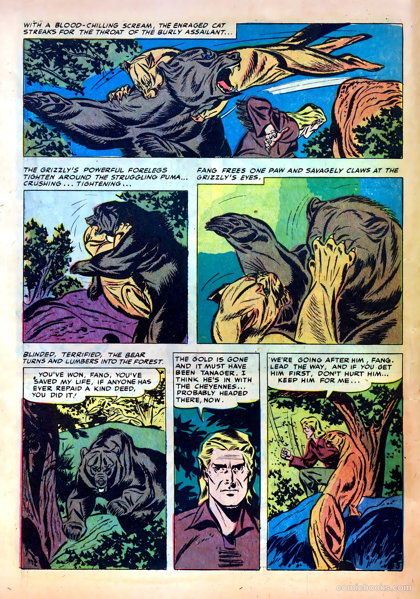 Western Fighters #2 (1948) — page 14 of 52