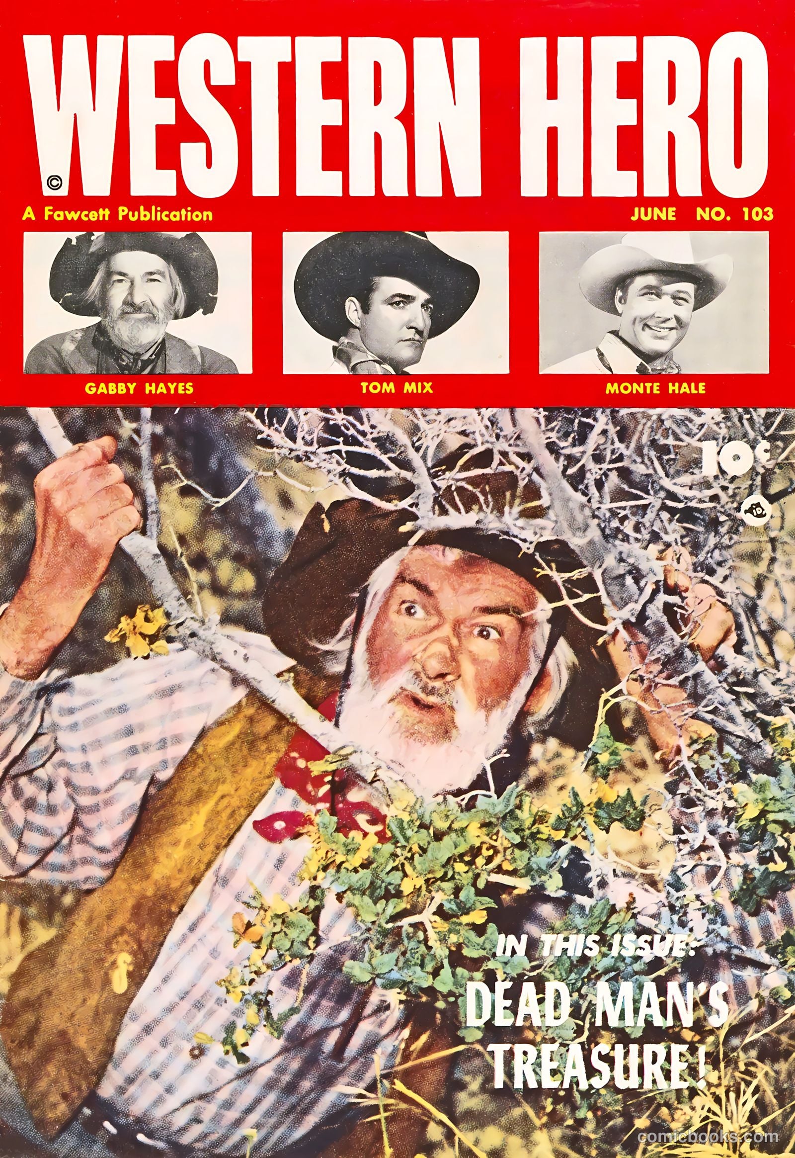 Western Hero #103