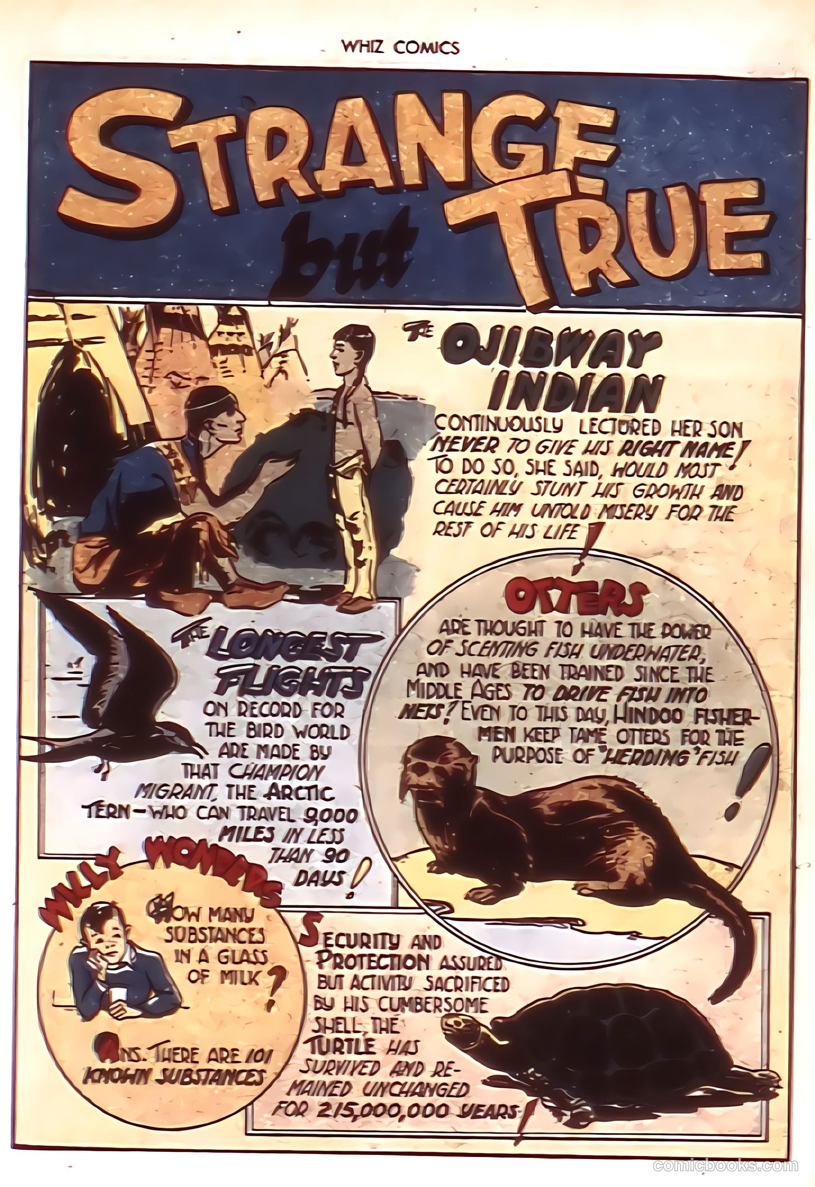 Whiz Comics #22 (1941) — page 23 of 68