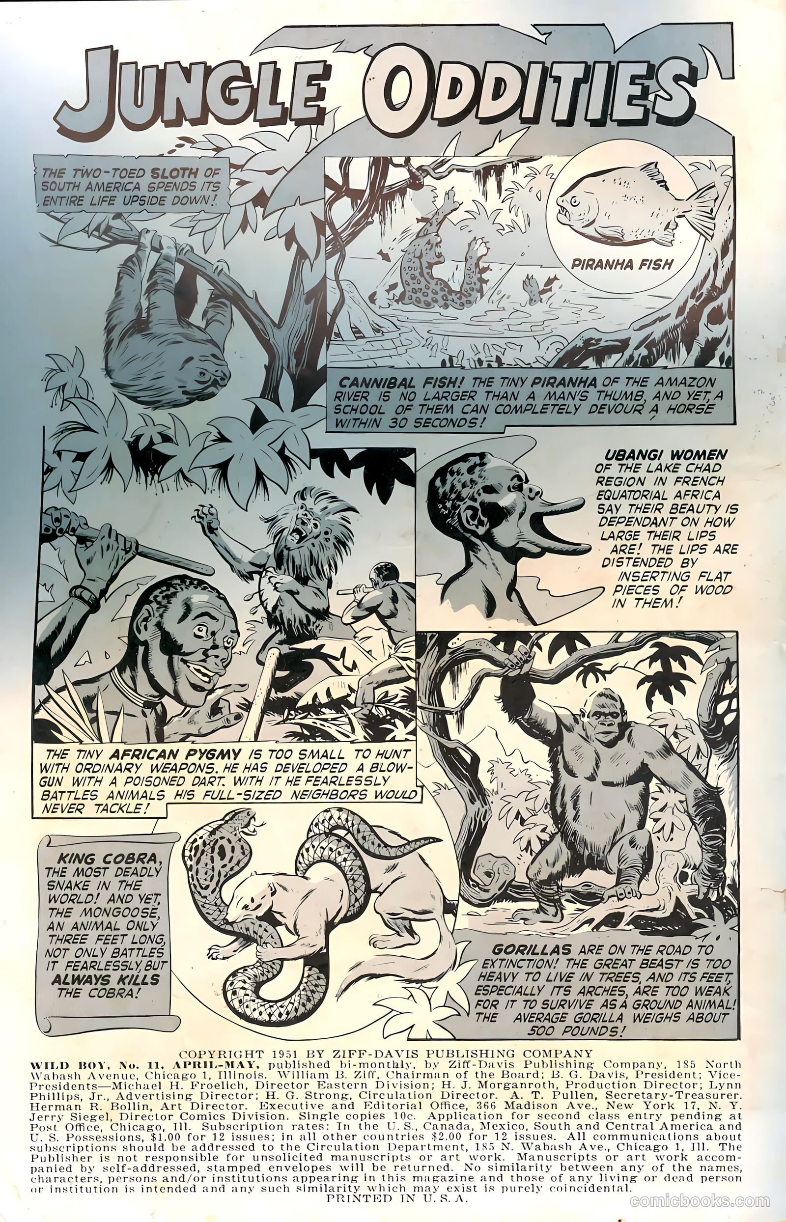 Wild! #11 (1951) — page 2 of 36