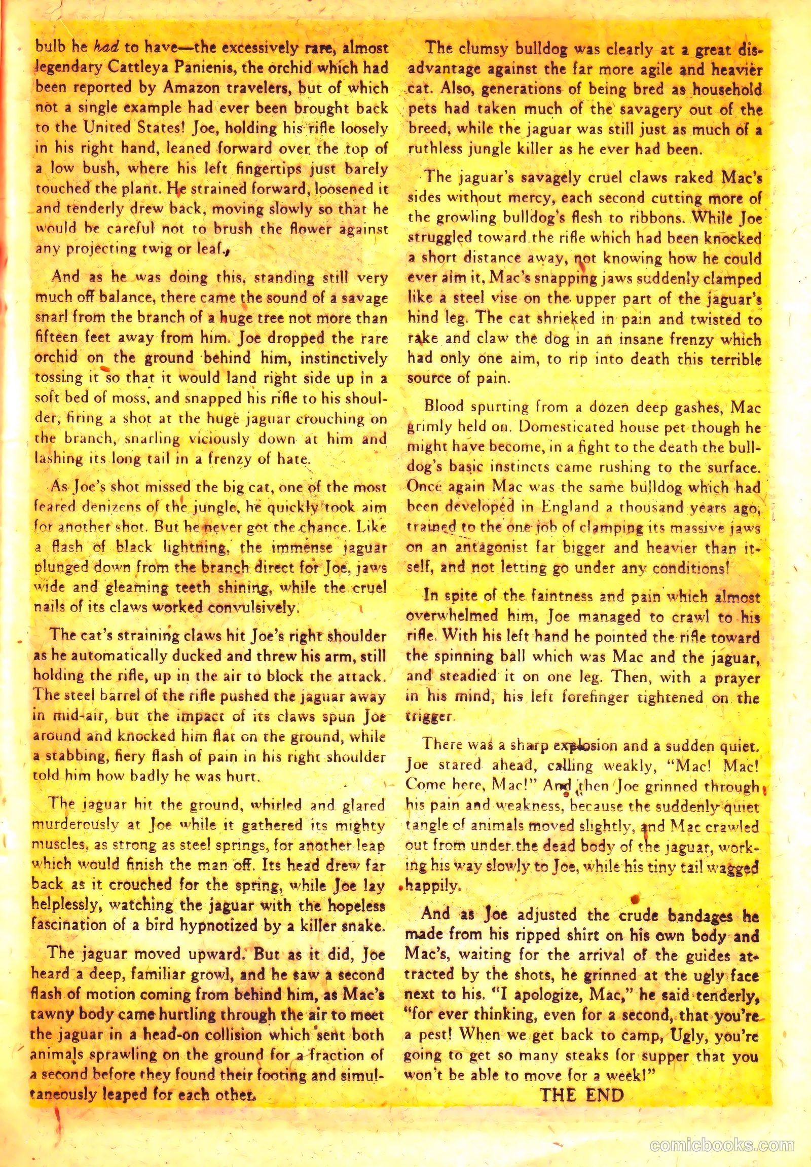 Wild! #12 (1951) — page 19 of 36
