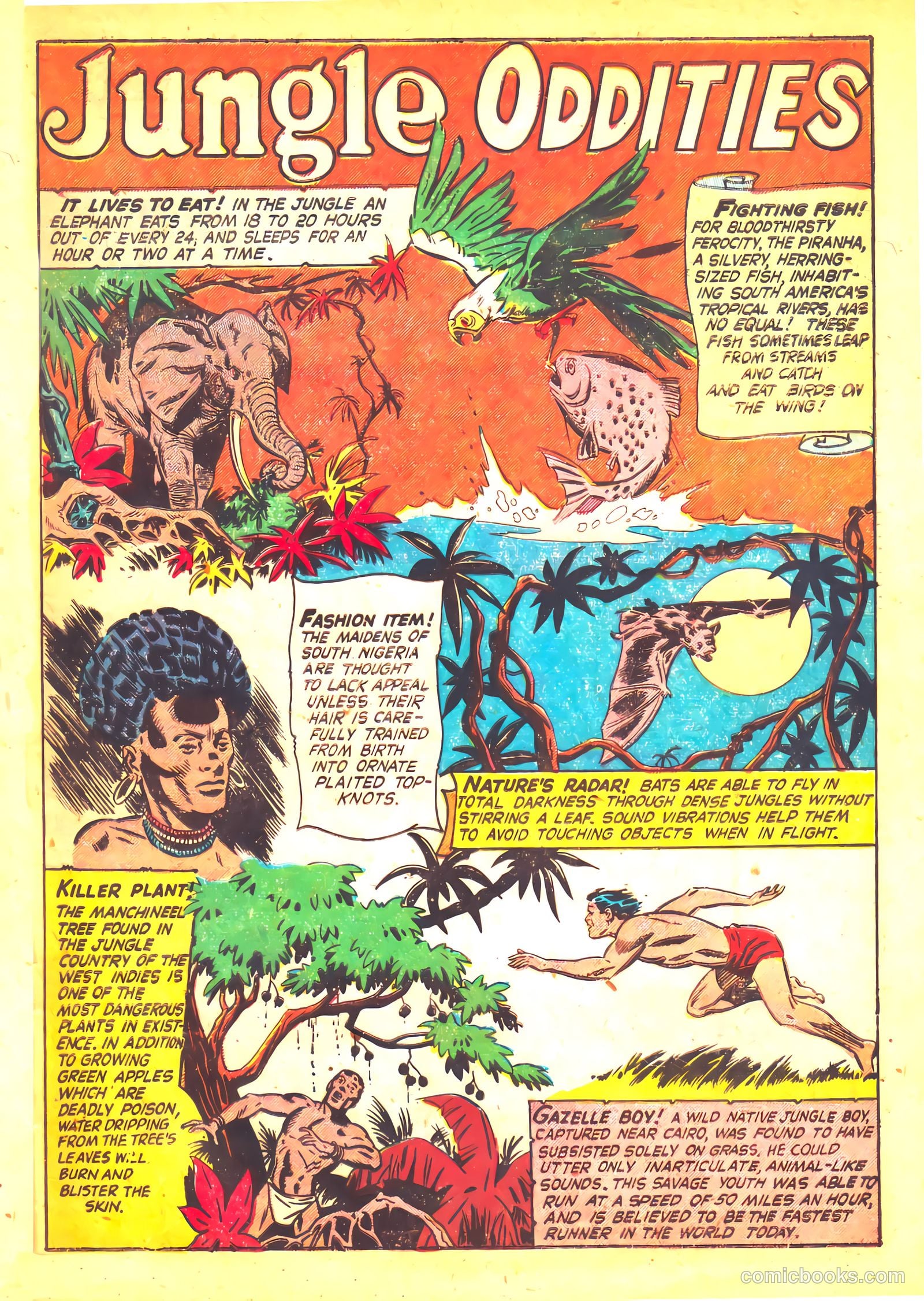 Wild! #12 (1951) — page 33 of 36