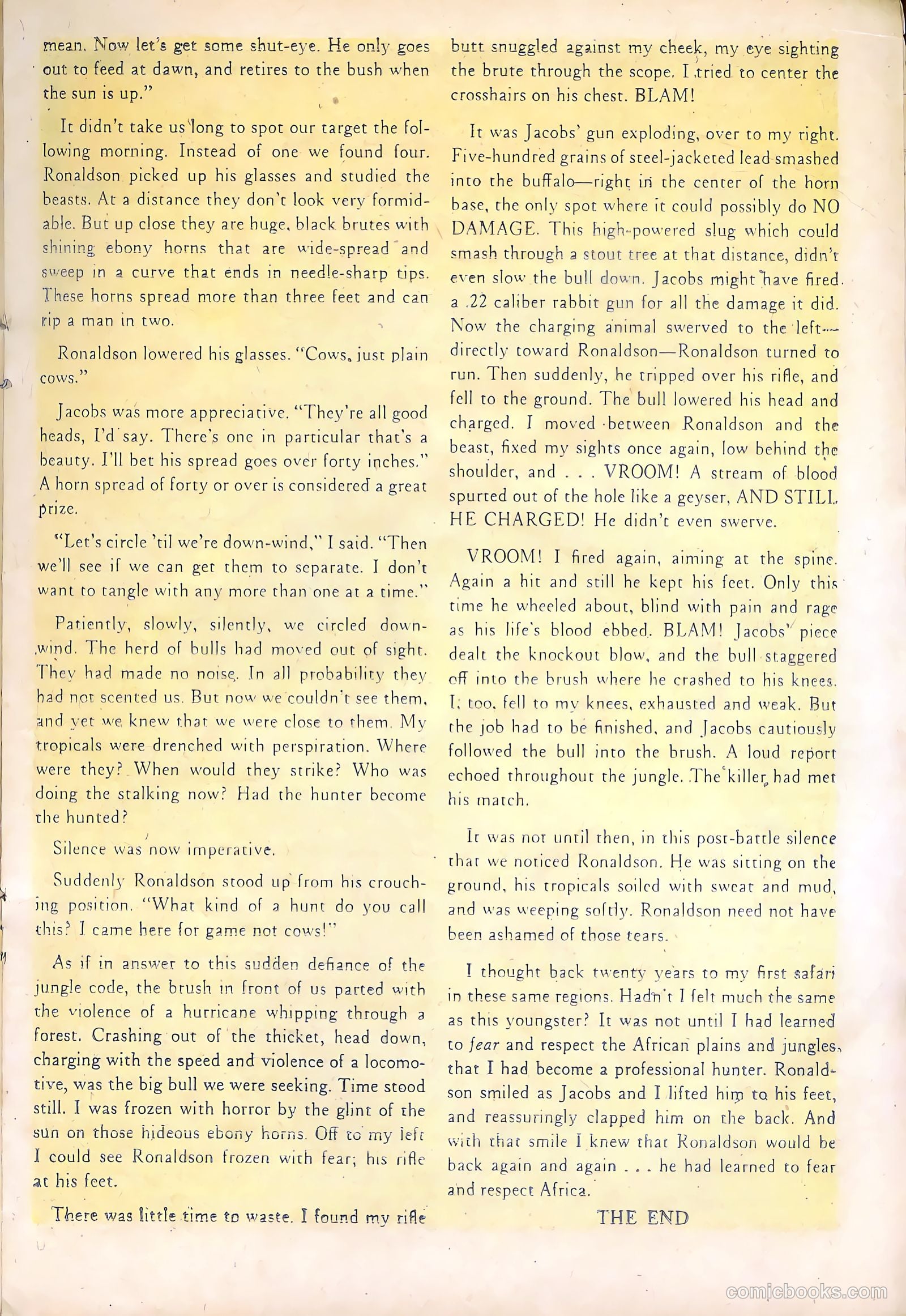 Wild Boy #5 (1951) — page 17 of 36