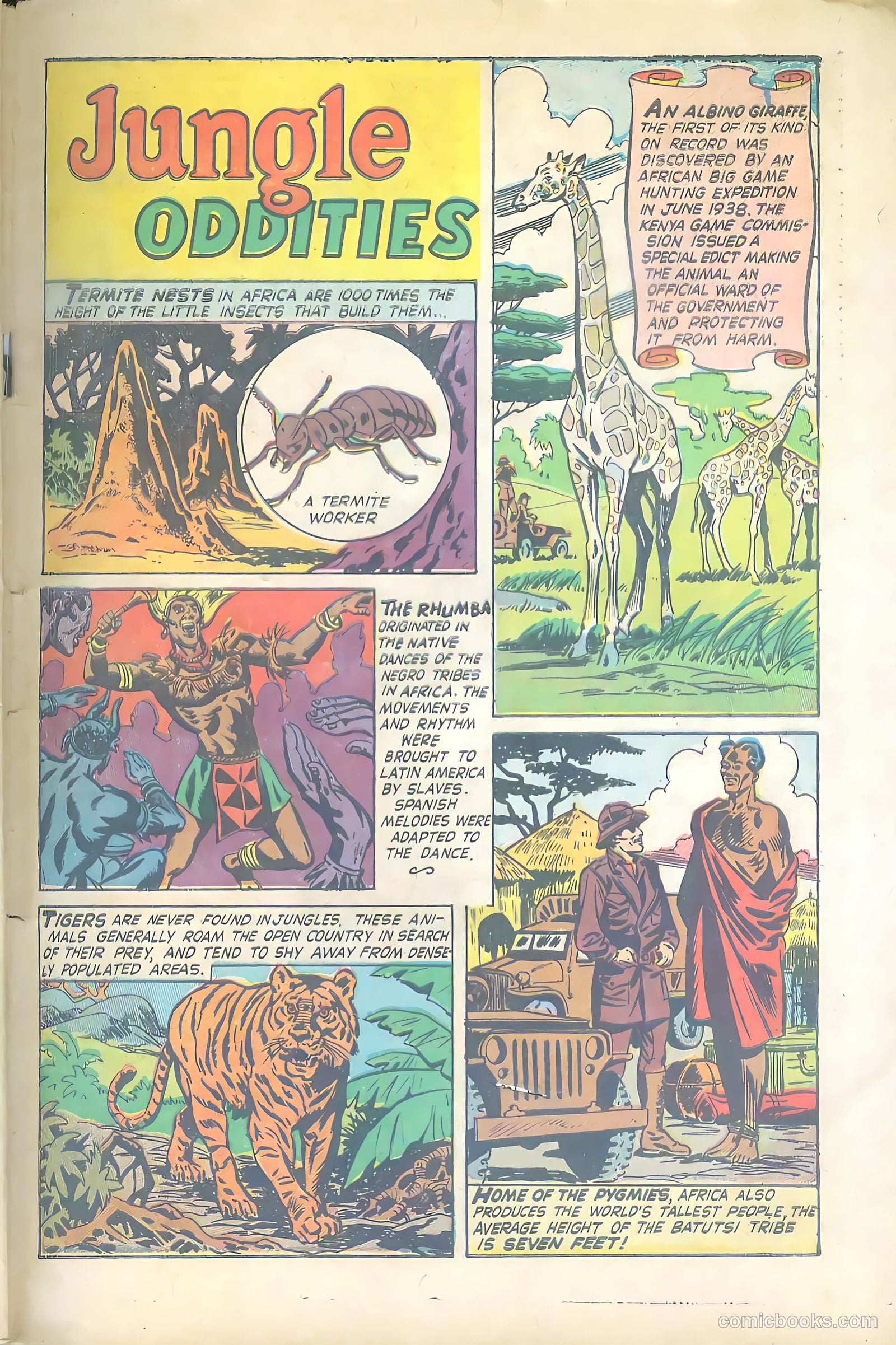 Wild Boy #5 (1951) — page 33 of 36