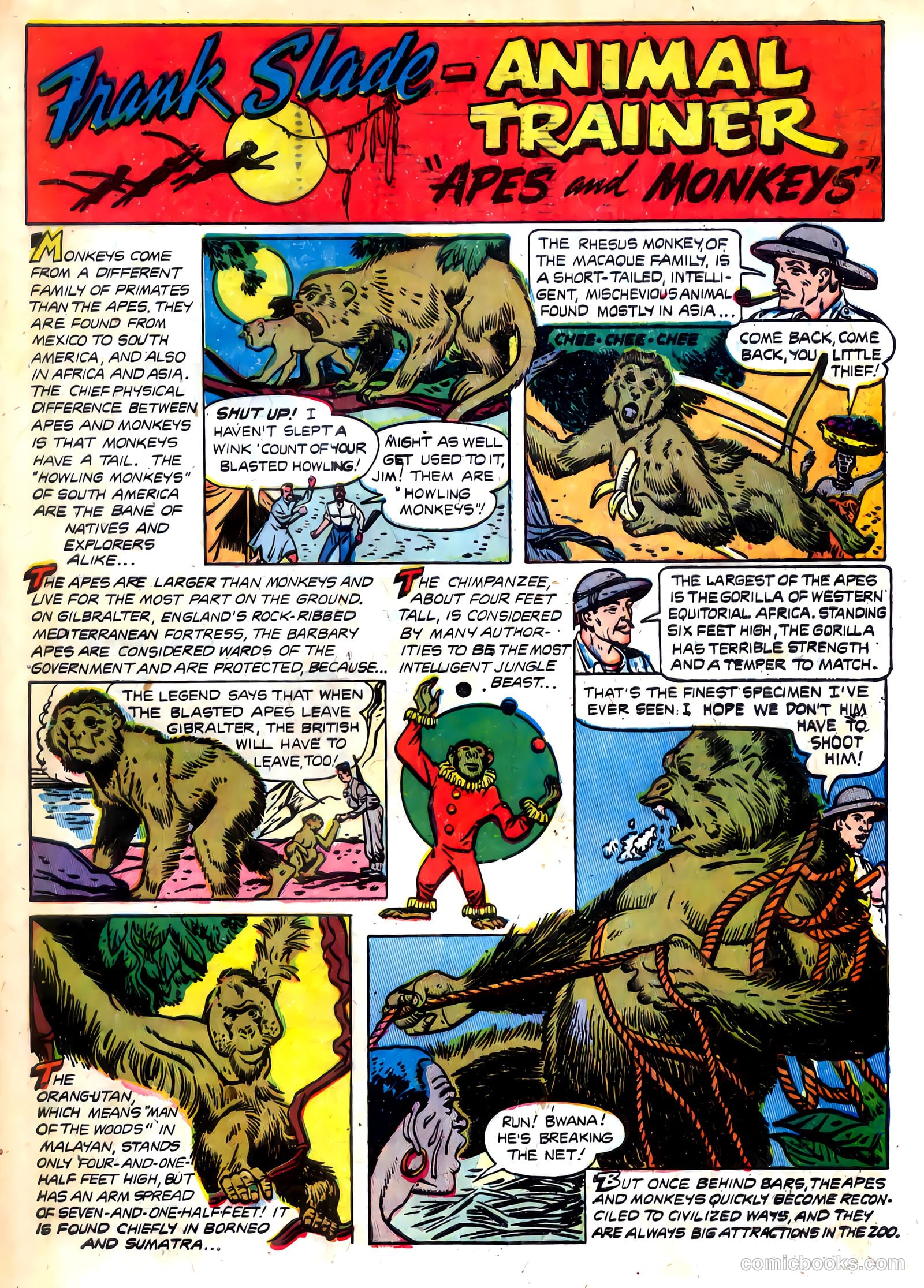 Wild Boy #7 (1952) — page 33 of 36