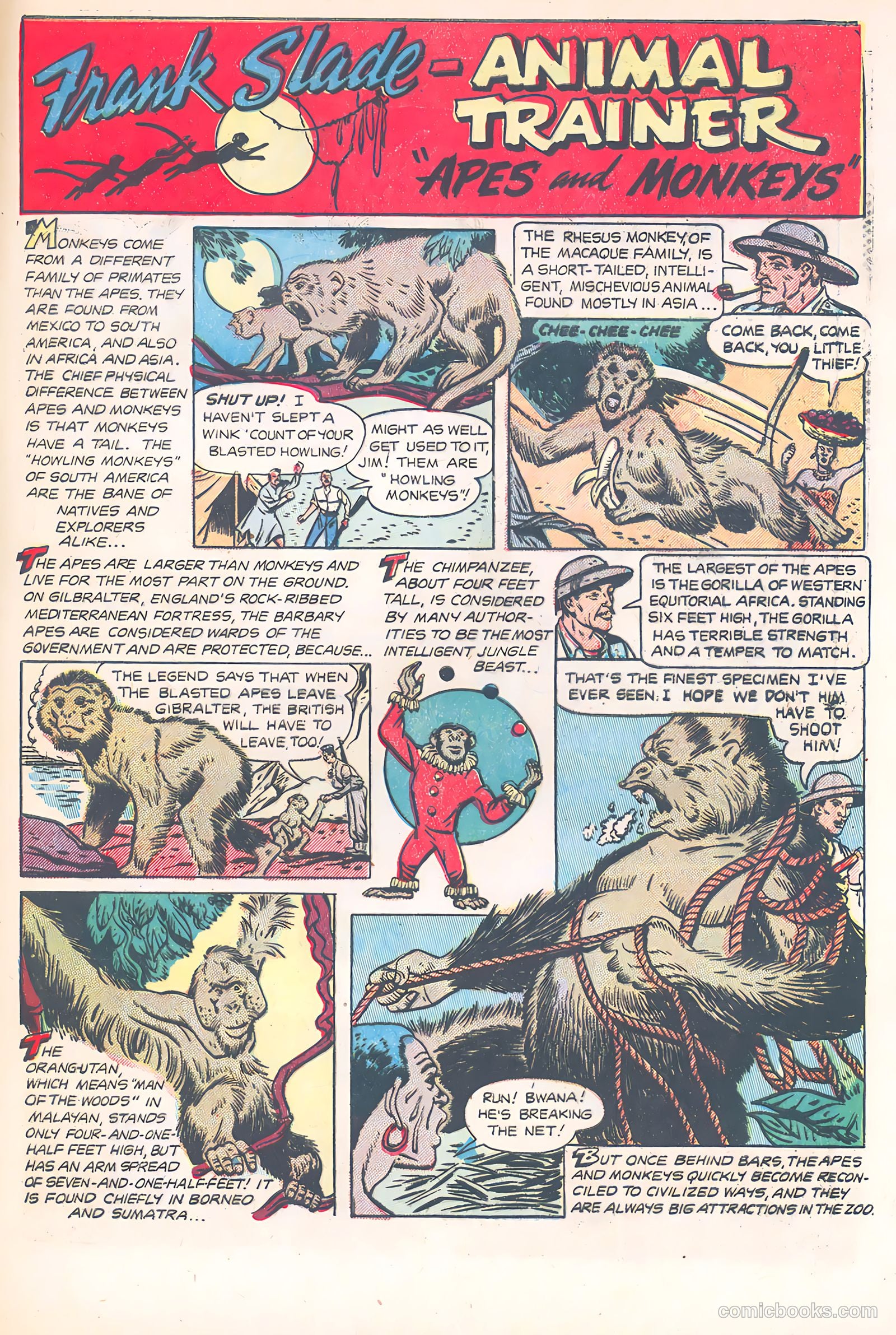 Wild Boy of the Congo #11 (1954) — page 34 of 37