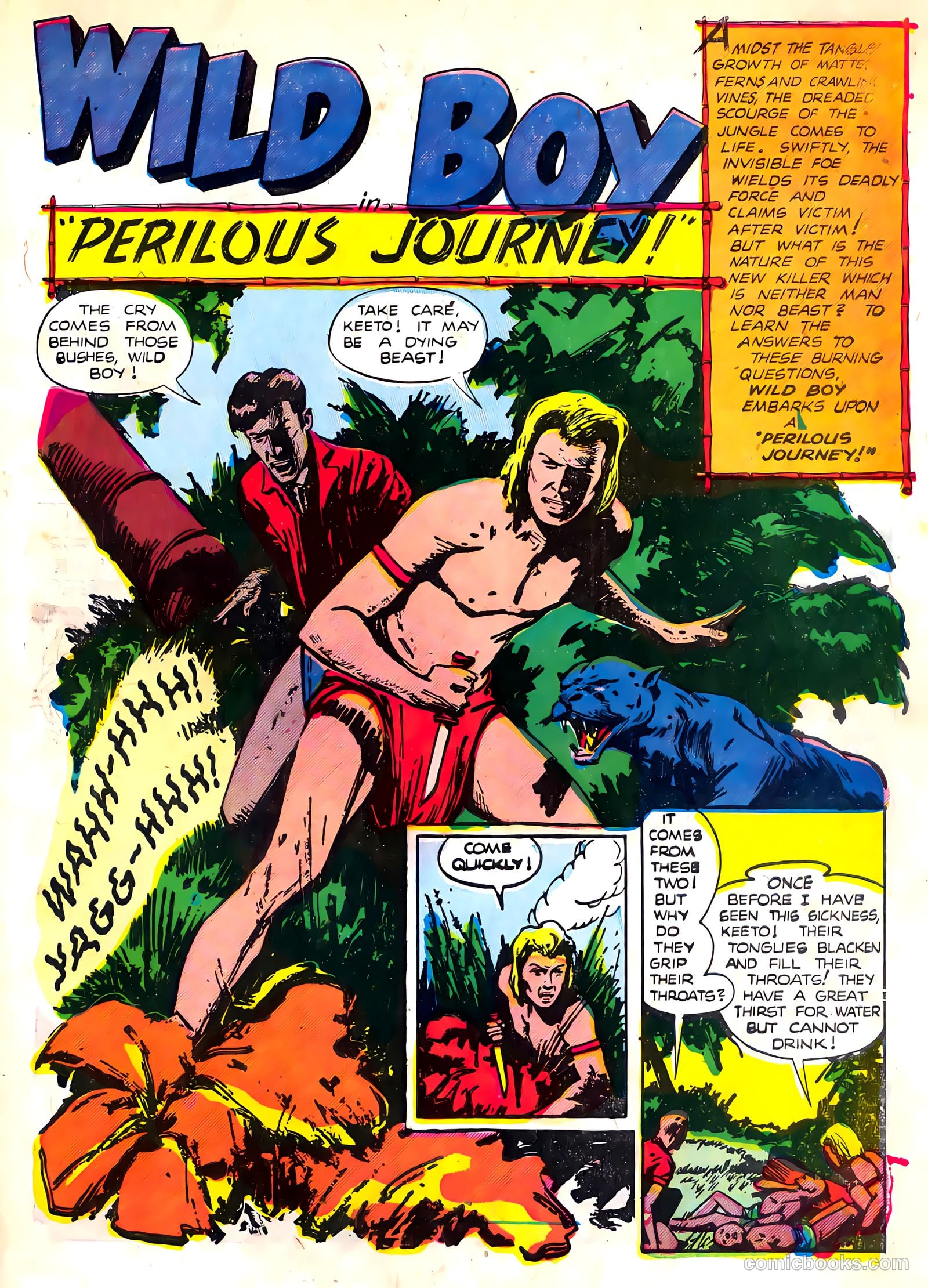 Wild Boy of the Congo #13 (1955) — page 28 of 37