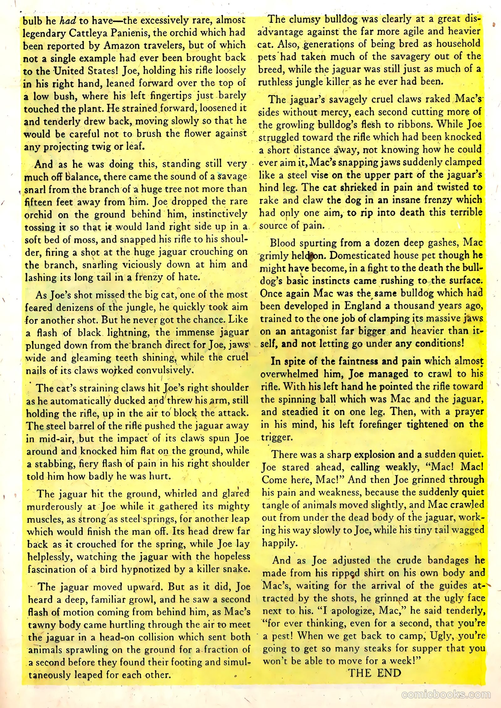 Wild Boy of the Congo #14 (1955) — page 19 of 36