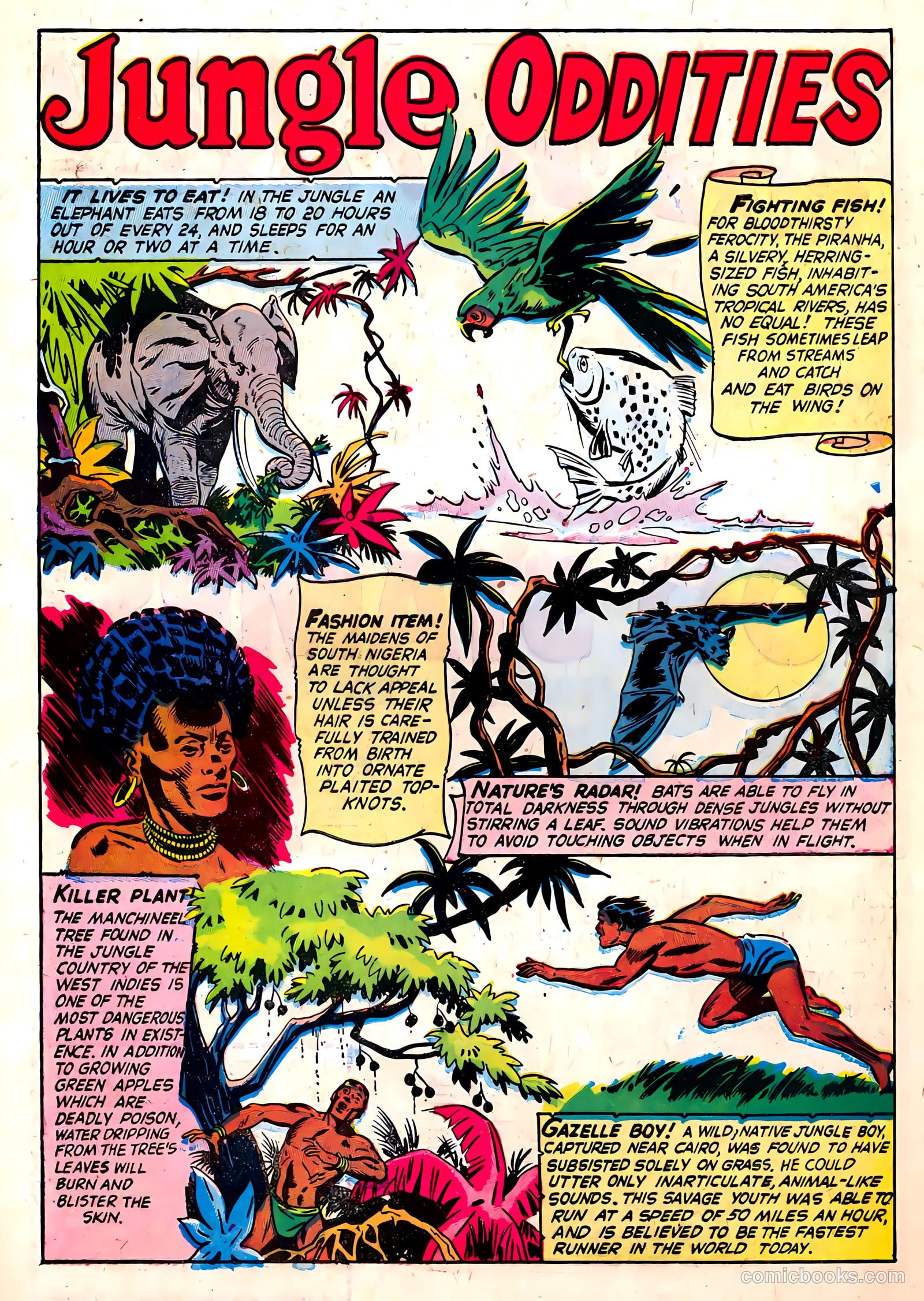 Wild Boy of the Congo #14 (1955) — page 33 of 36
