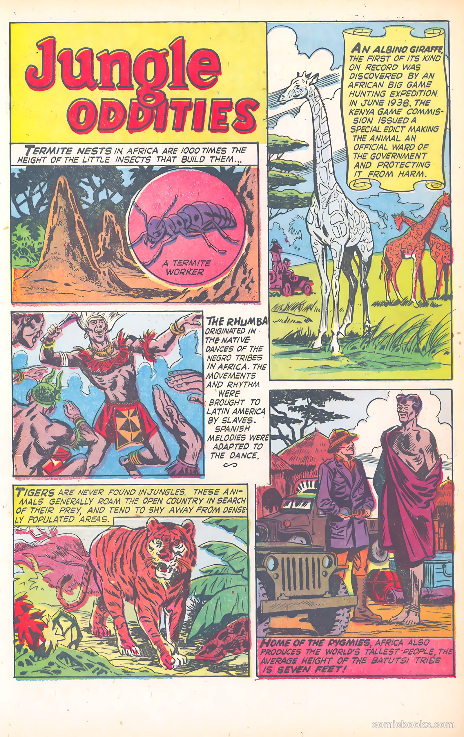 Wild Boy of the Congo #15 (1955) — page 32 of 36