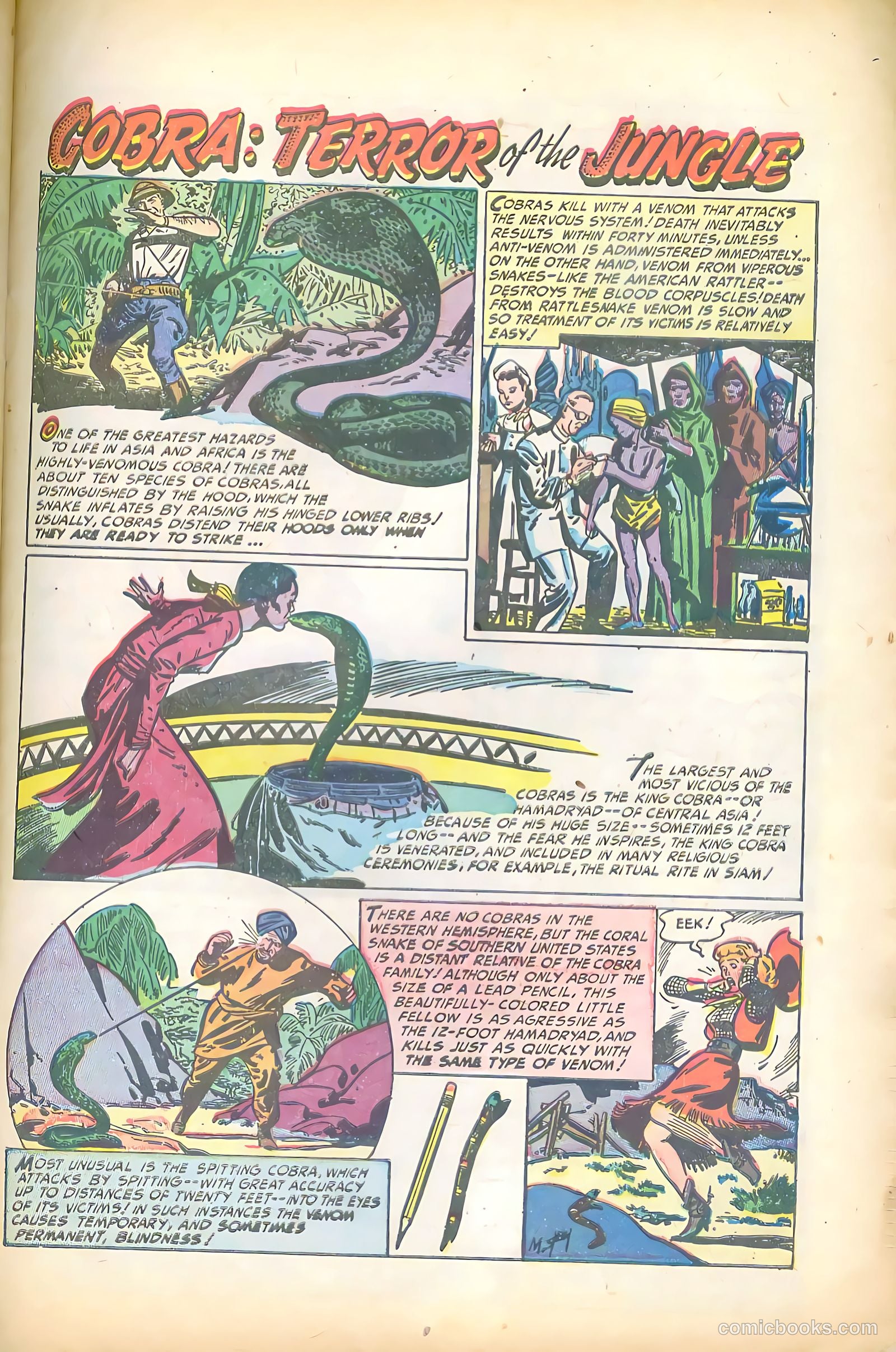 Wild Boy of the Congo #9 (1953) — page 27 of 36