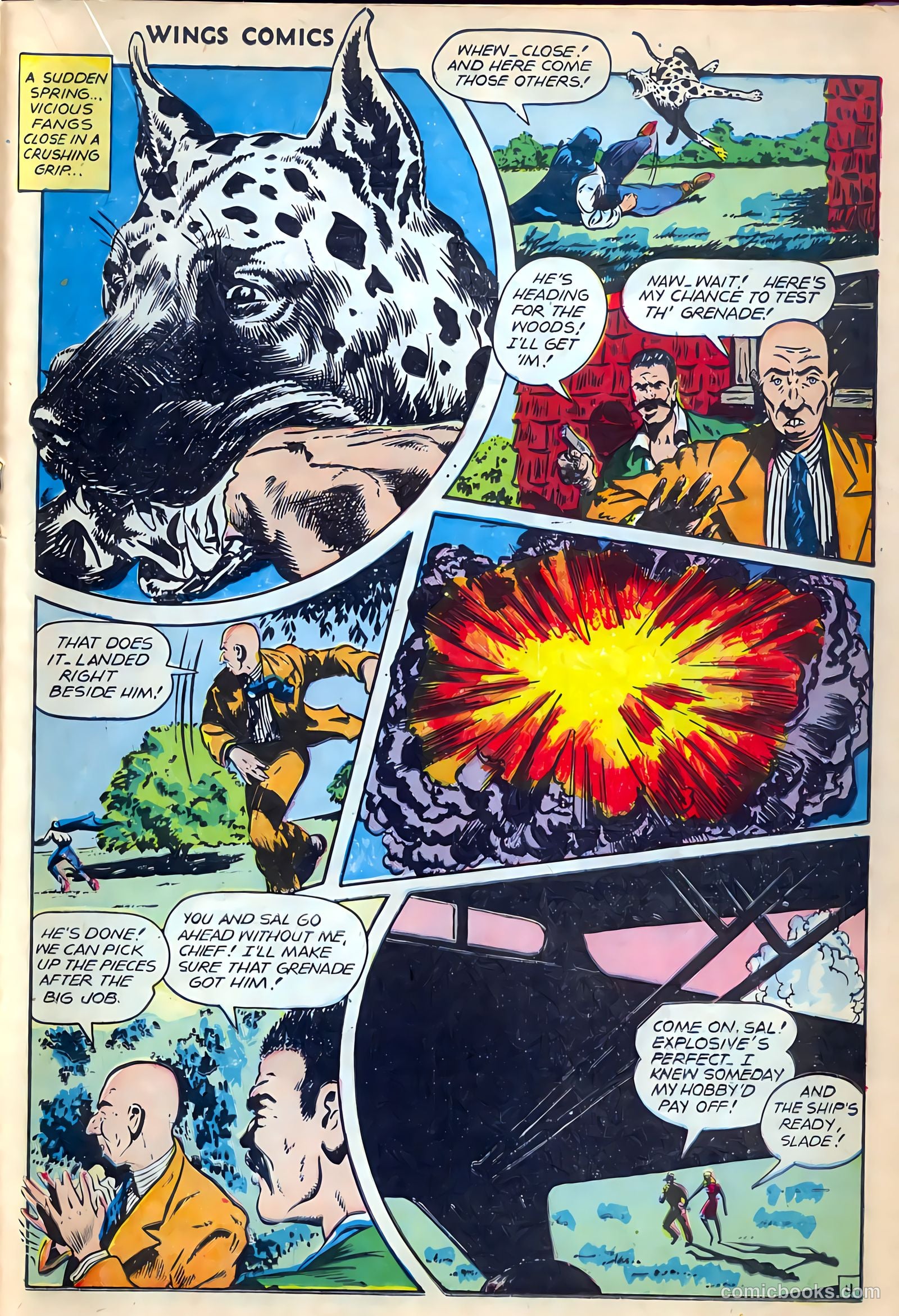 Wings Comics #78 (1947) — page 29 of 52