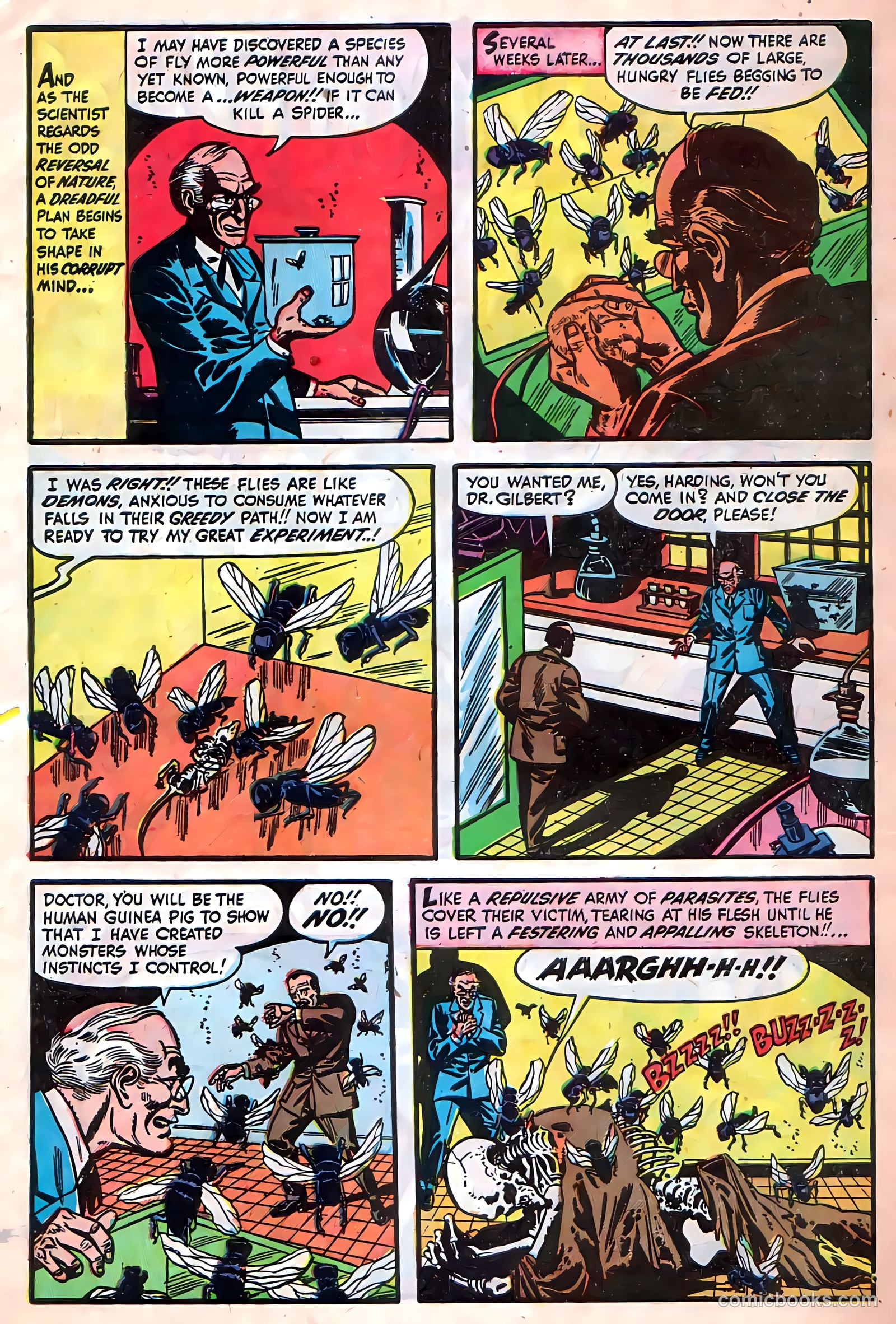 Witches Tales #8 (1969) — page 30 of 36