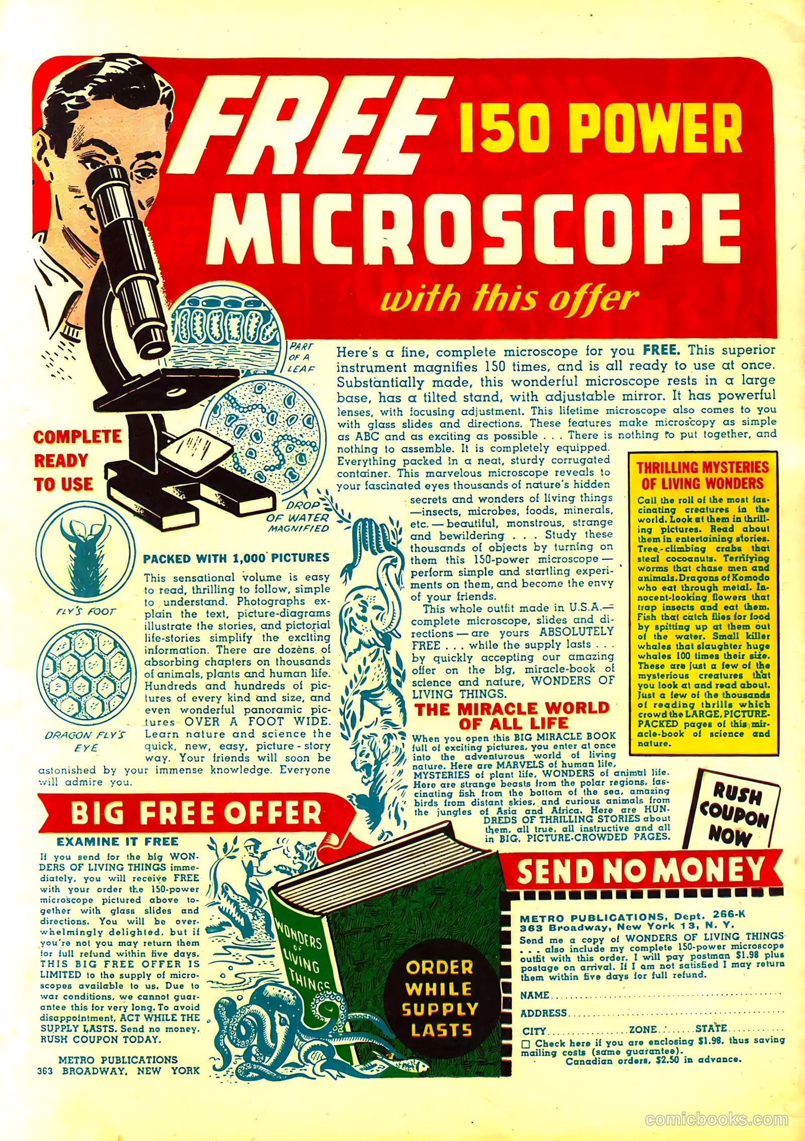 Wonderland Comics #2 (1945) — page 52 of 52