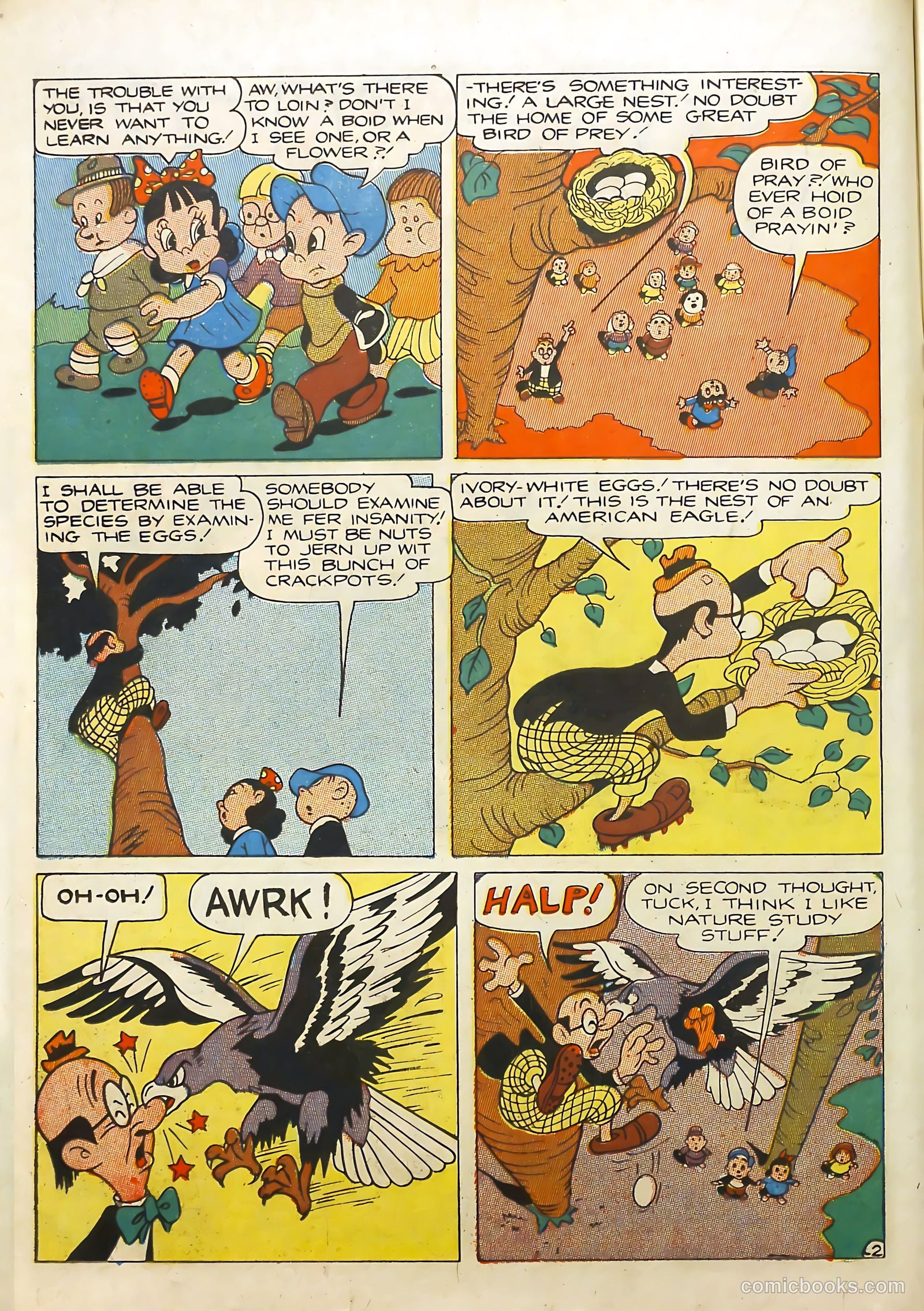 Wonderland Comics #5 (1946) — page 21 of 53