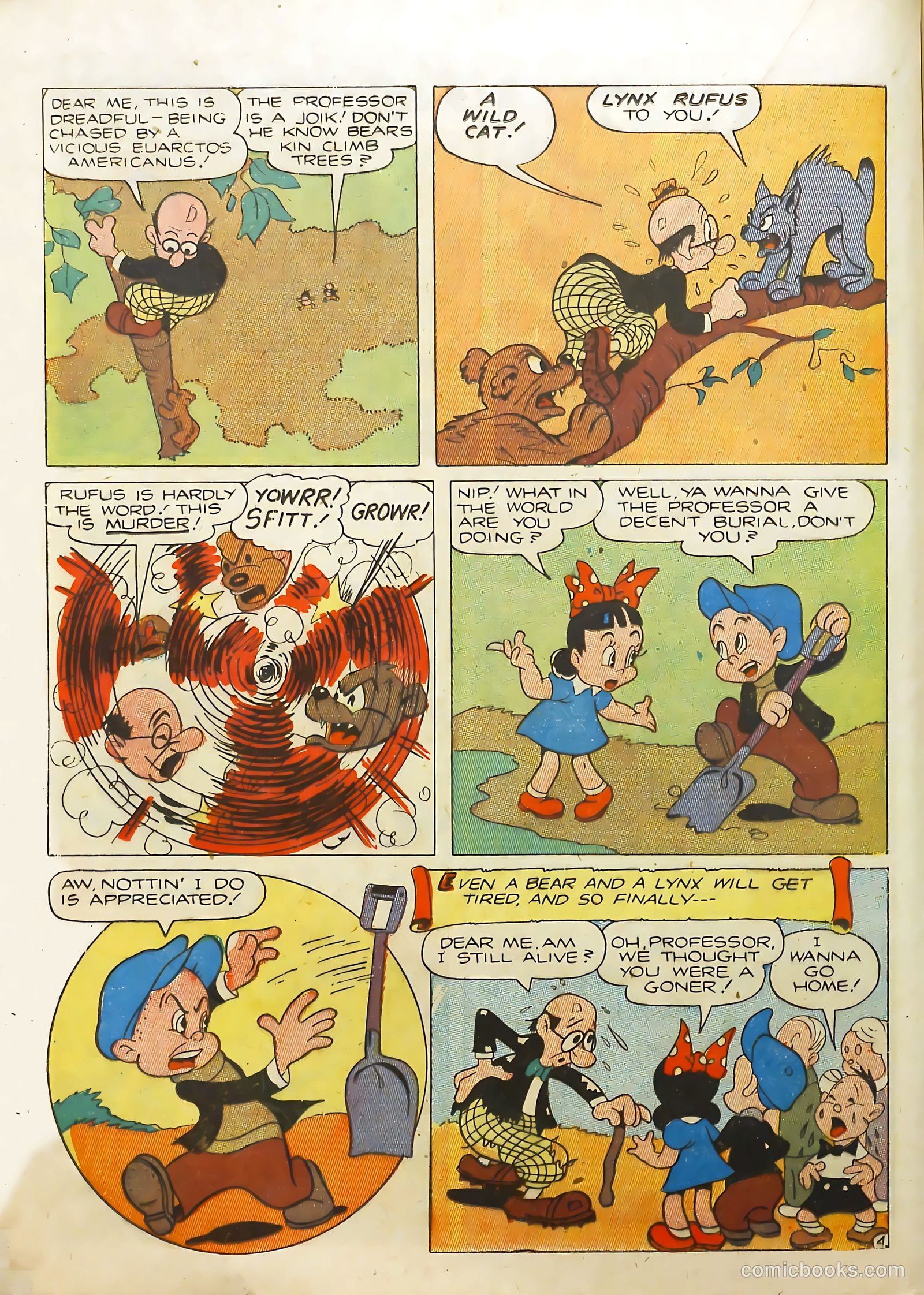 Wonderland Comics #5 (1946) — page 23 of 53