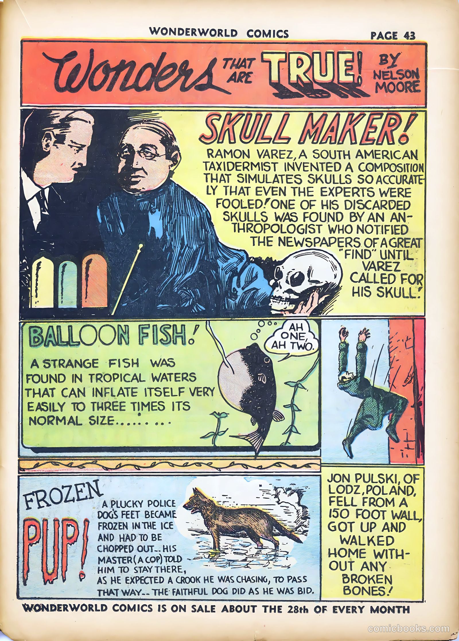 Wonderworld Comics #8 (1939) — page 44 of 66