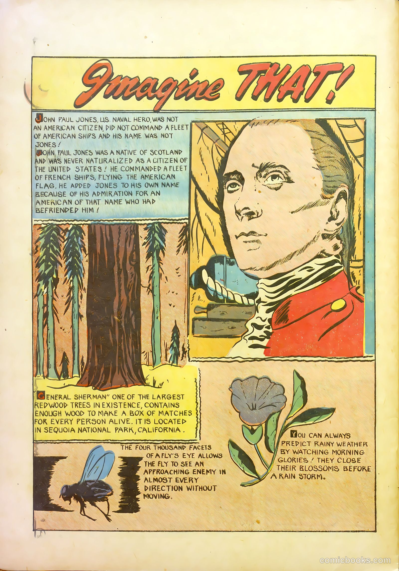 Wotalife #12 (1947) — page 28 of 36
