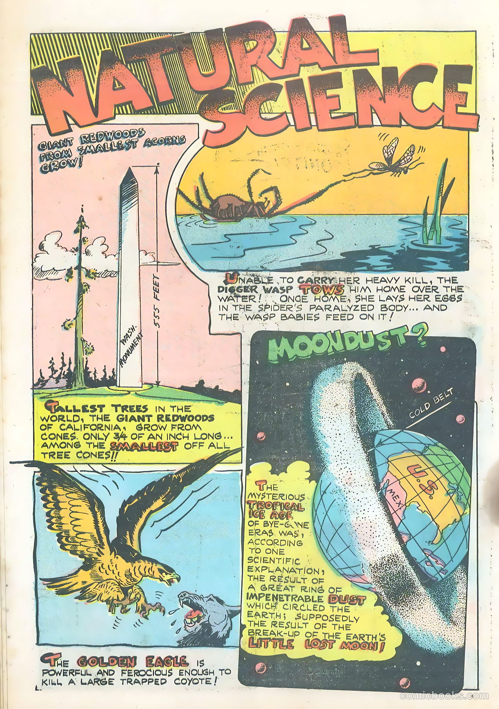 Wotalife #5 (1946) — page 20 of 53