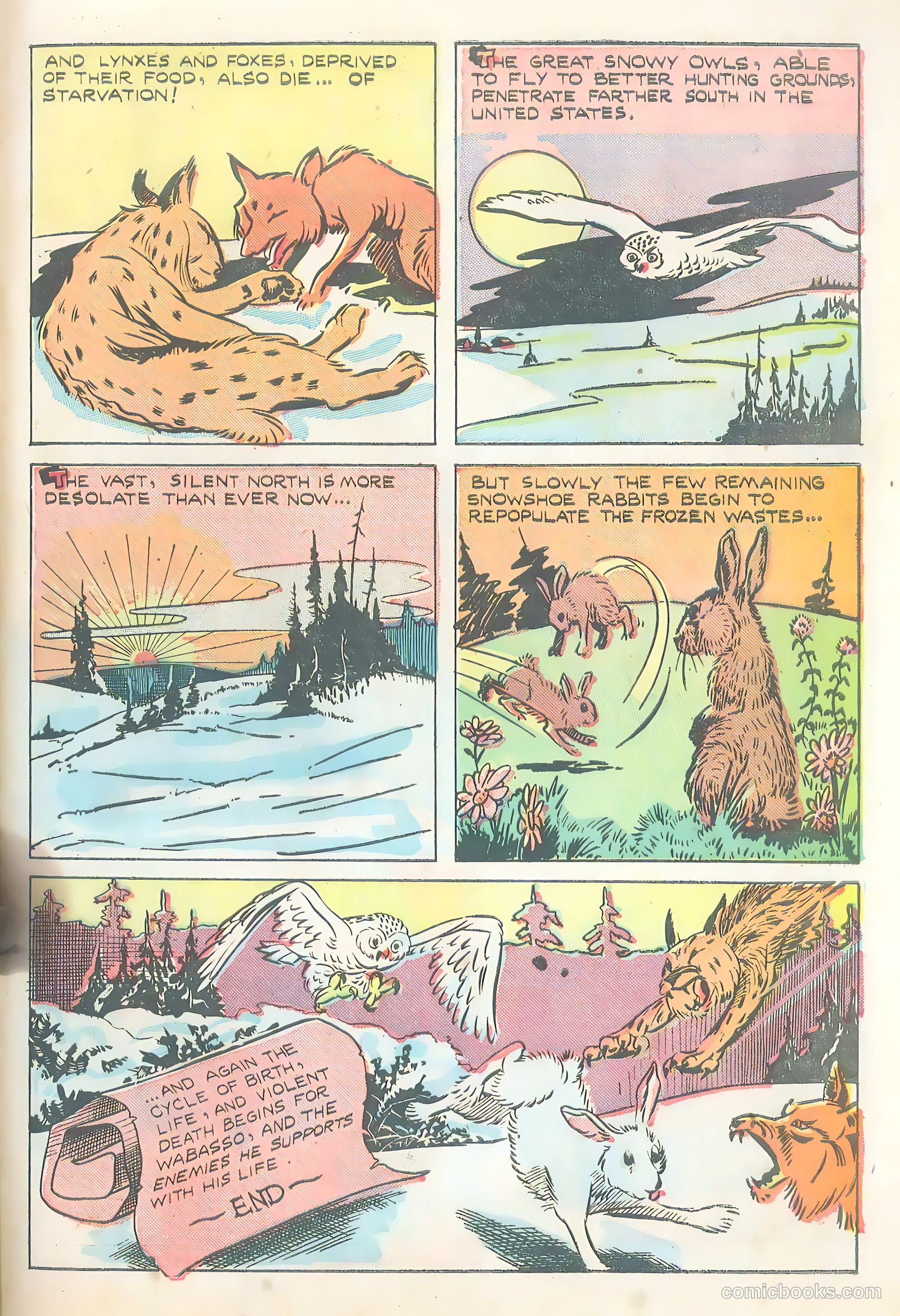 Wotalife #5 (1946) — page 31 of 53