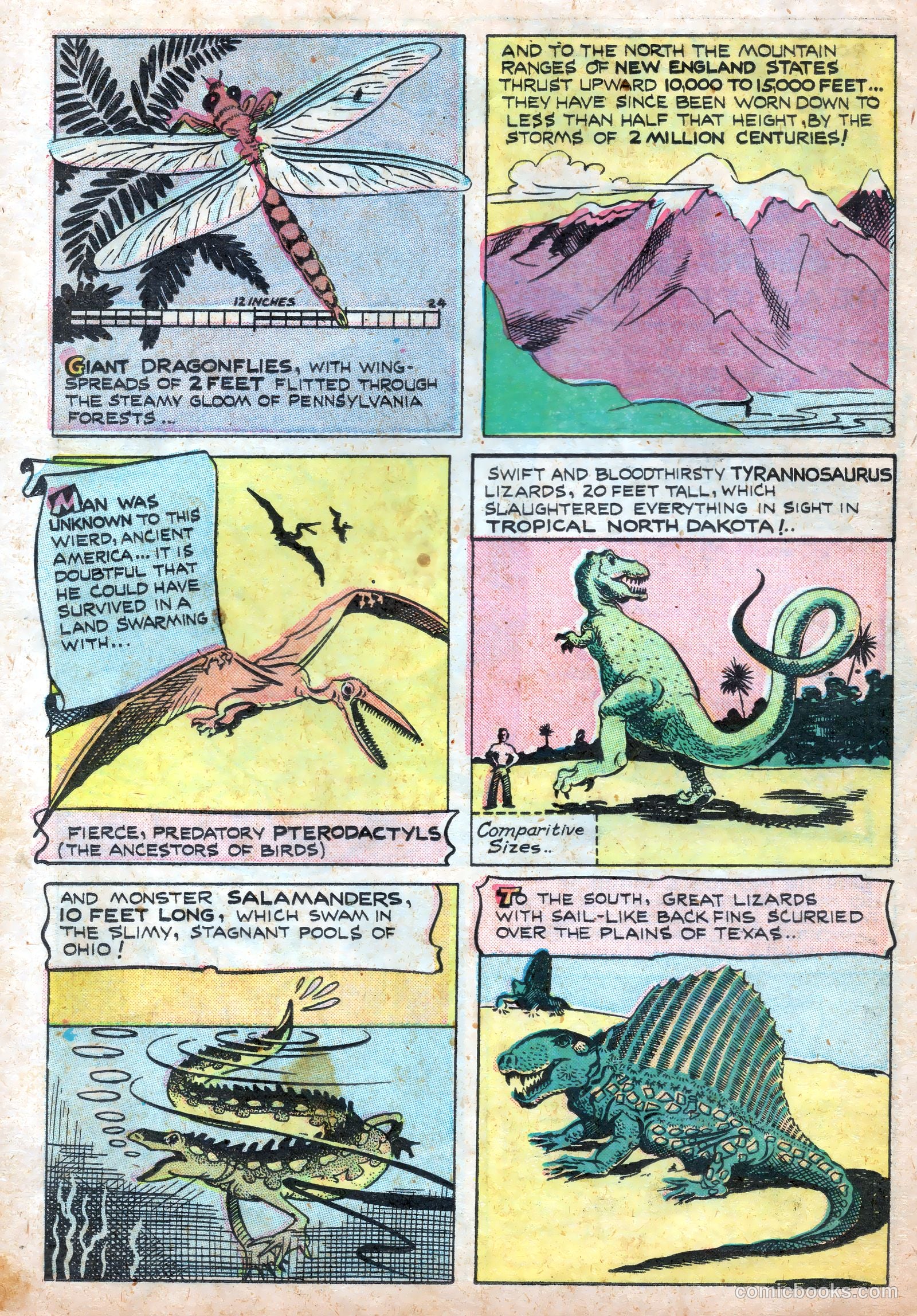 Wotalife #7 (1947) — page 24 of 36