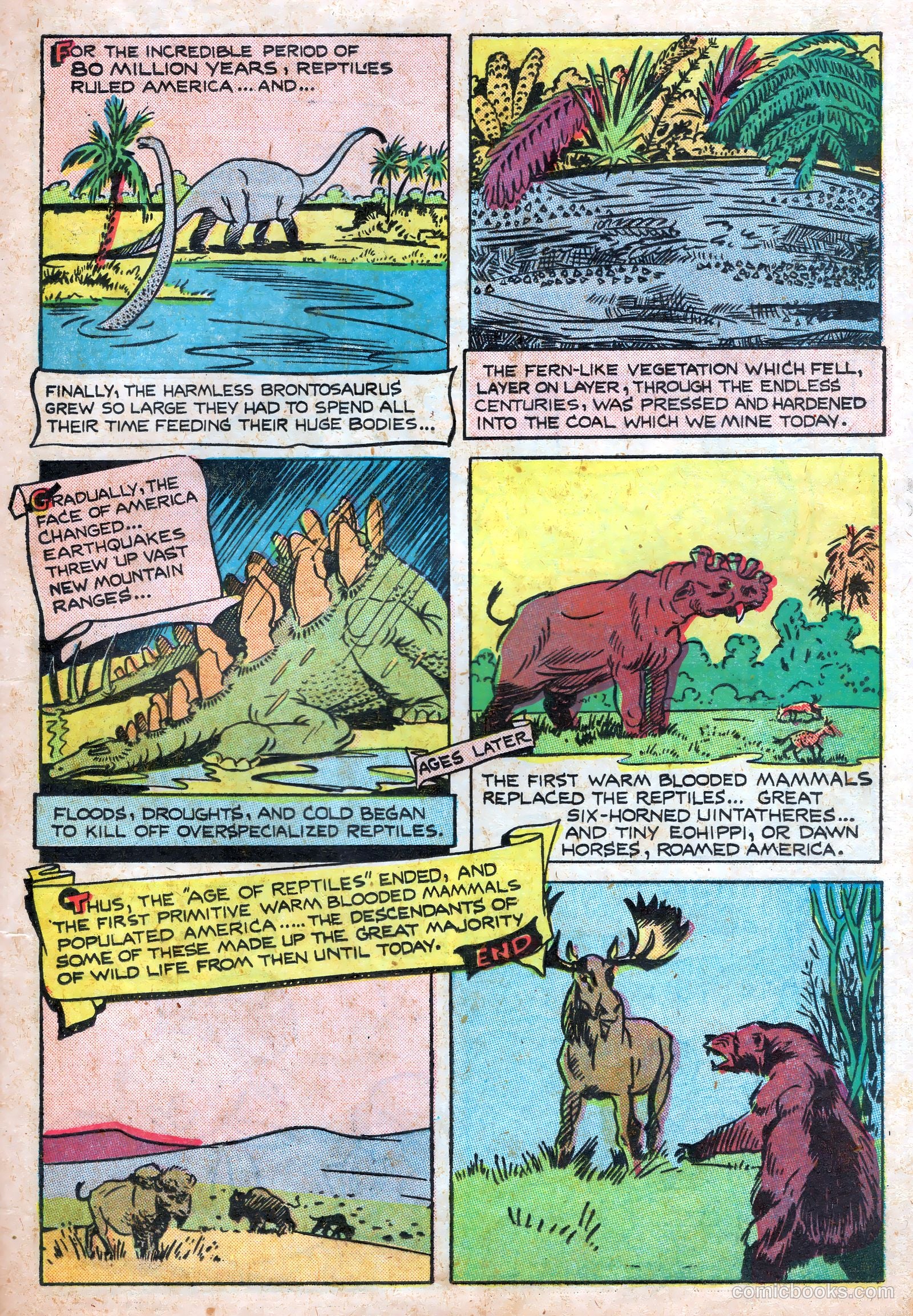 Wotalife #7 (1947) — page 25 of 36