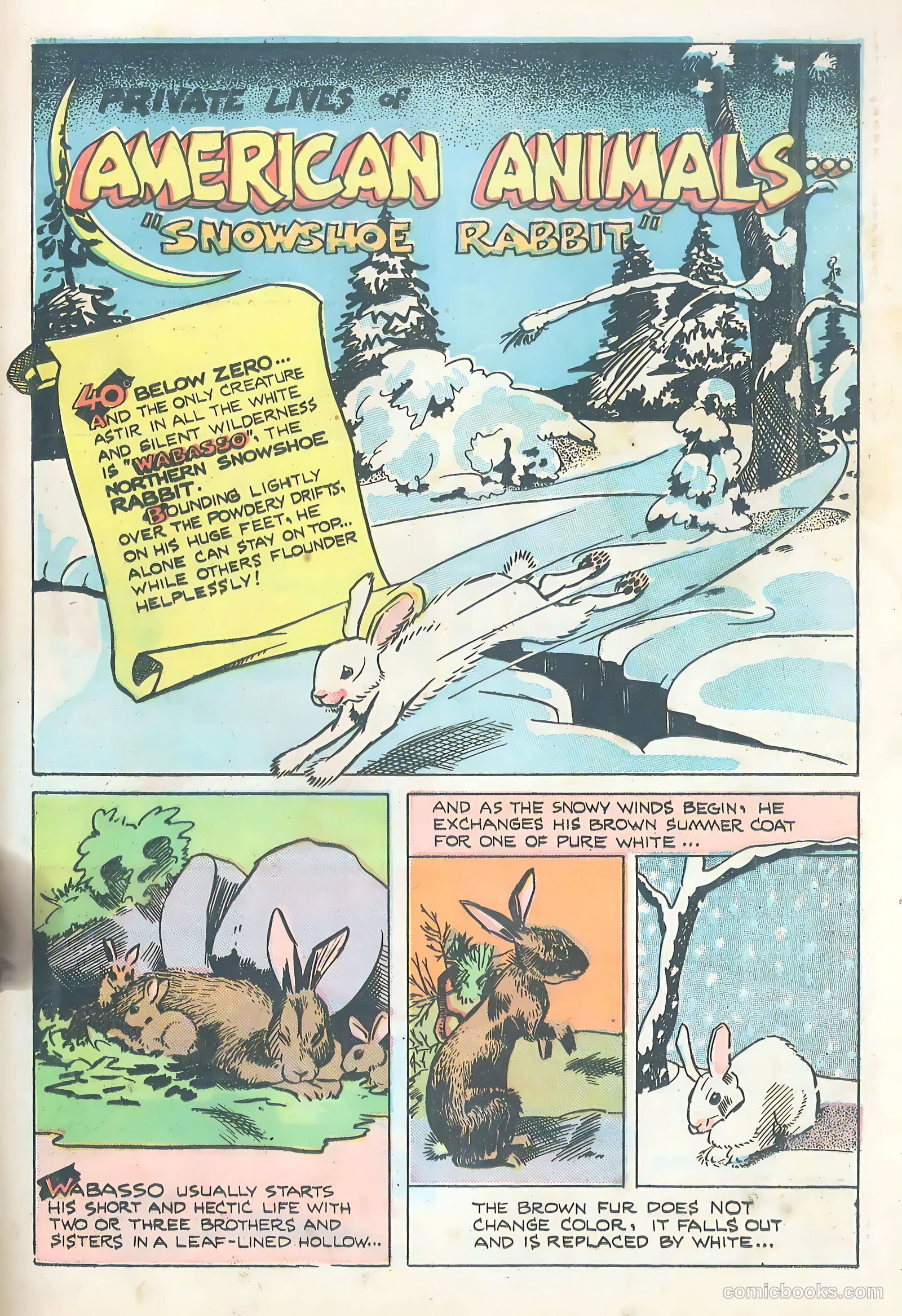 Wotalife Comics #5 (1959) — page 29 of 53