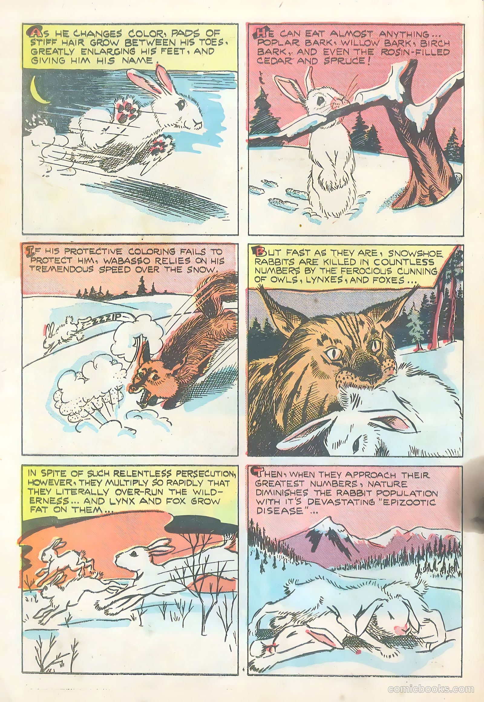 Wotalife Comics #5 (1959) — page 30 of 53
