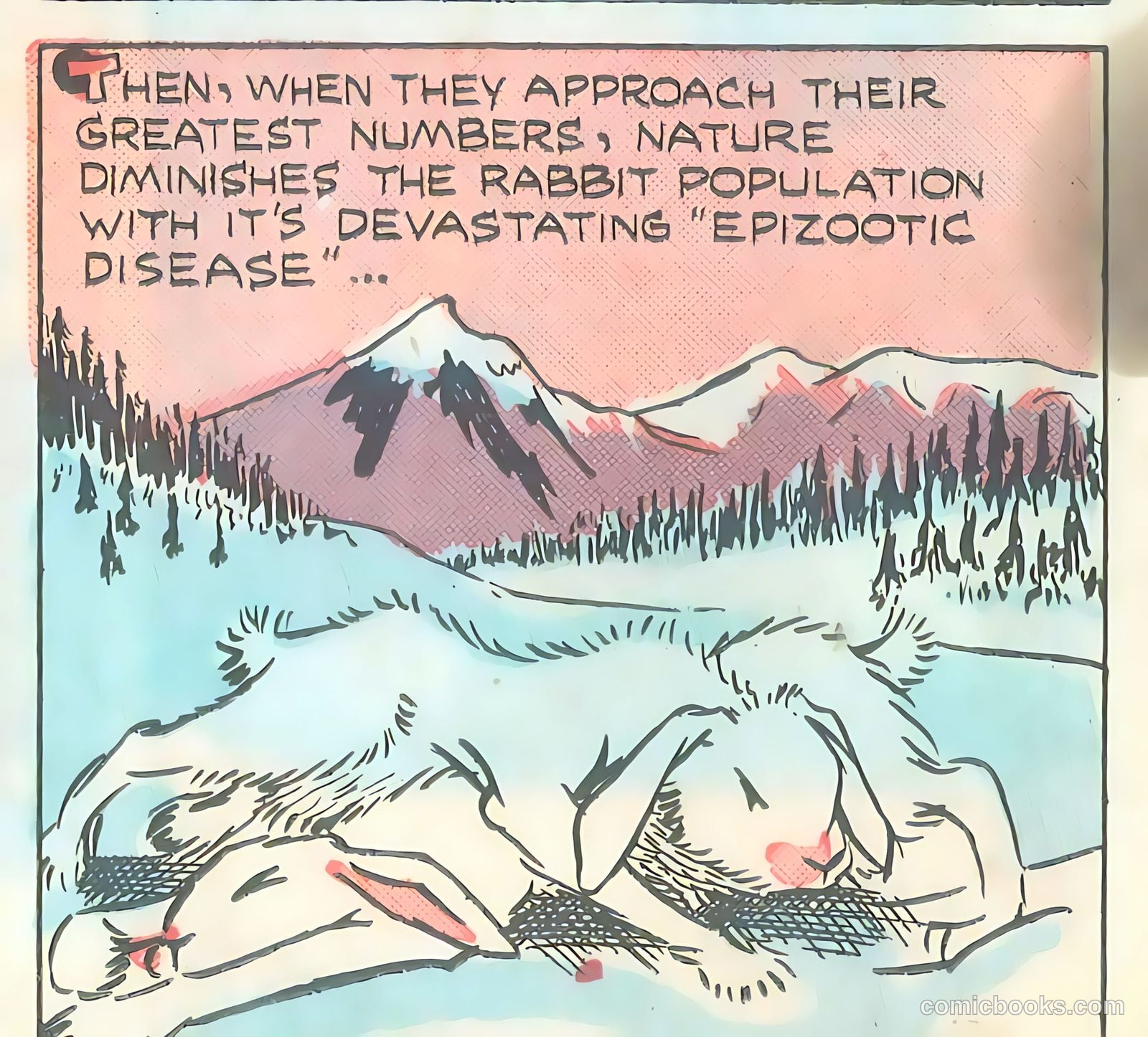 Wotalife Comics #5 (1959) — page 53 of 53
