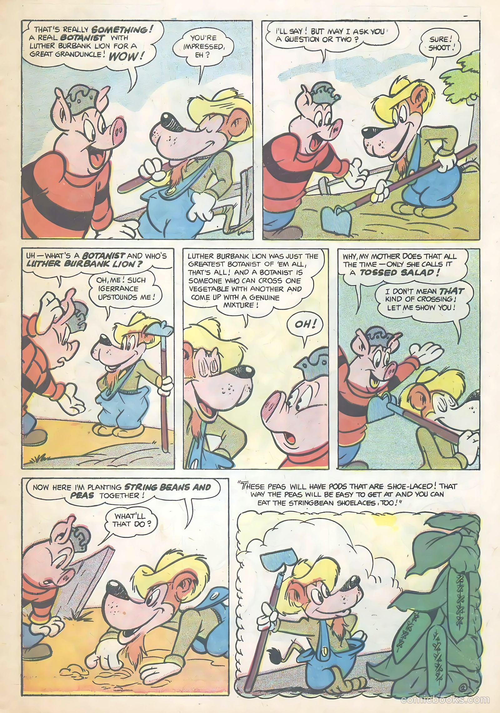 Wotalife Comics #5 (1957) — page 27 of 36