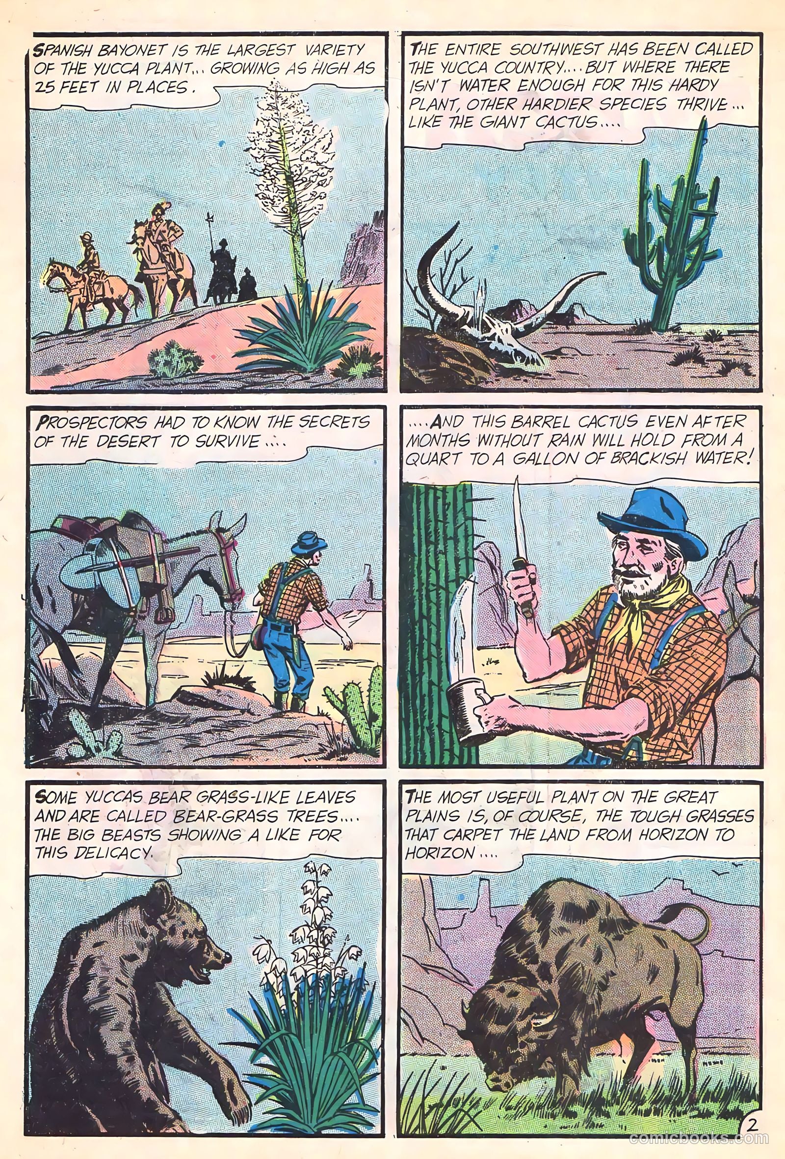 Wyatt Earp, Frontier Marshal #62 (1966) — page 32 of 36