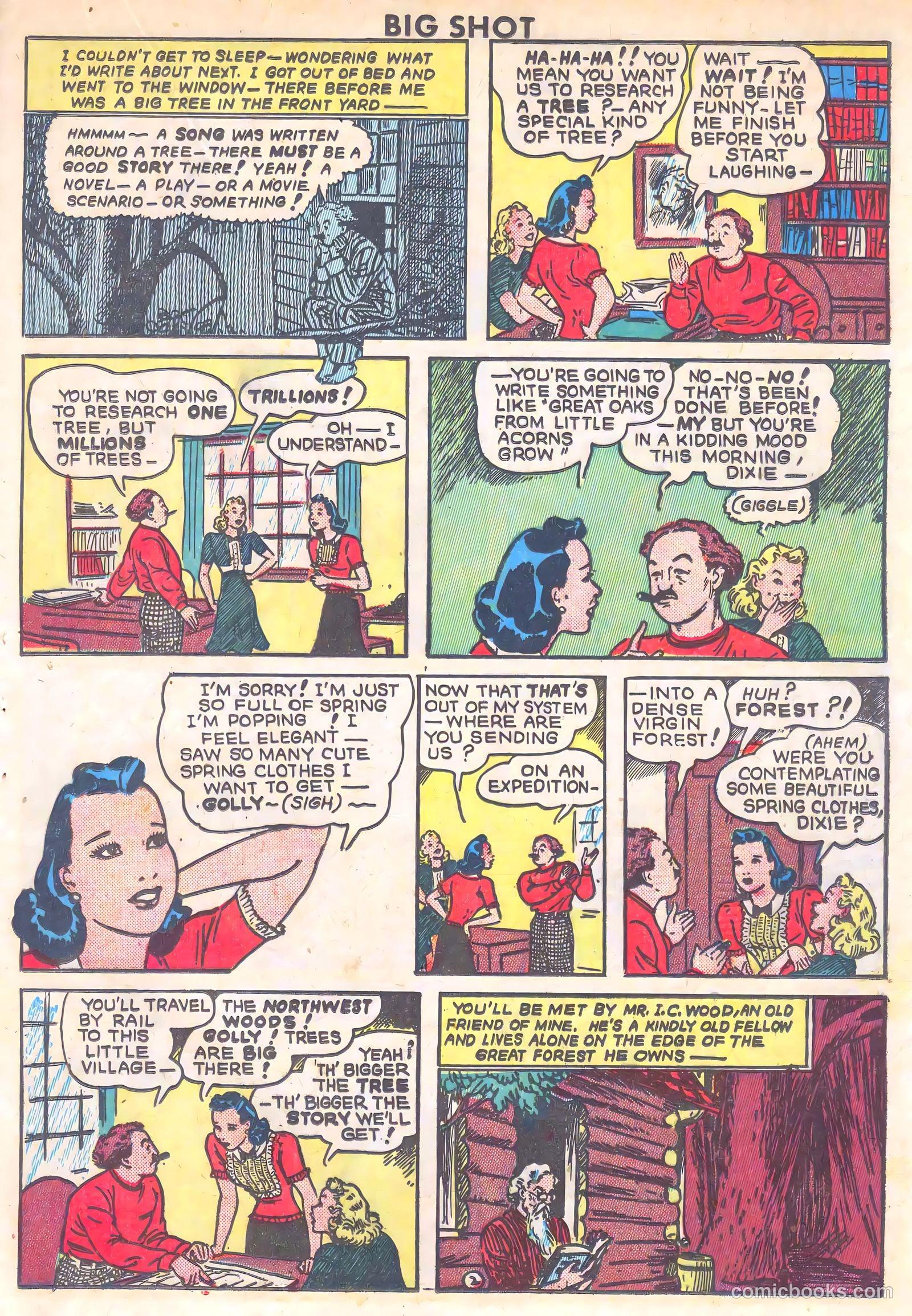 Big Shot #39 (1943) — page 31 of 60