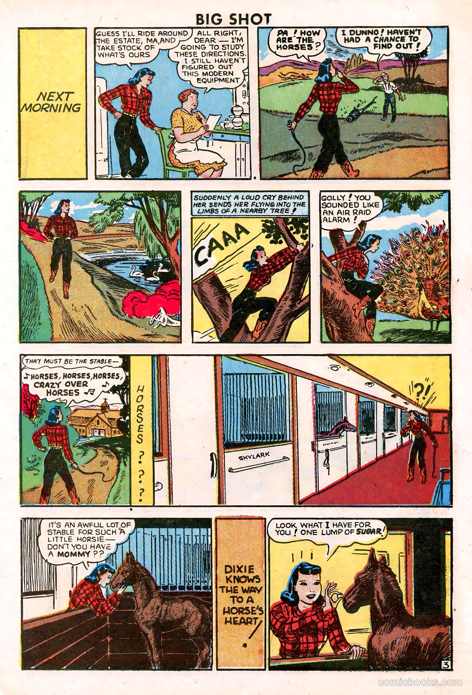 Big Shot #63 (1946) — page 23 of 52