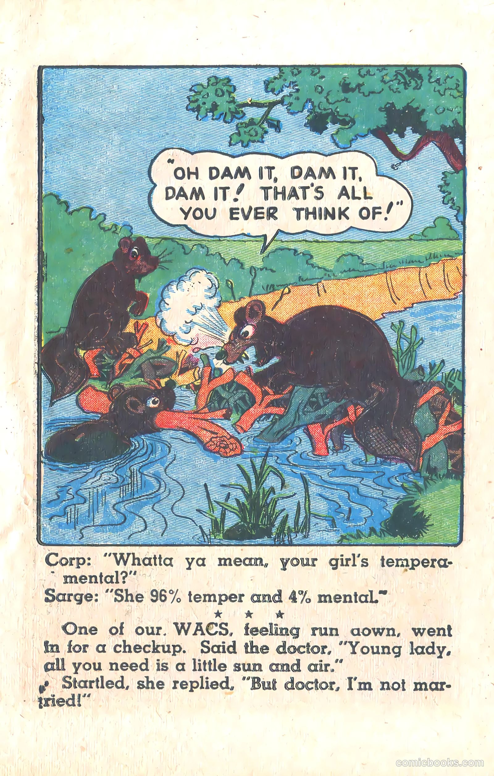 Yankee Comics #5 (1943) — page 19 of 69