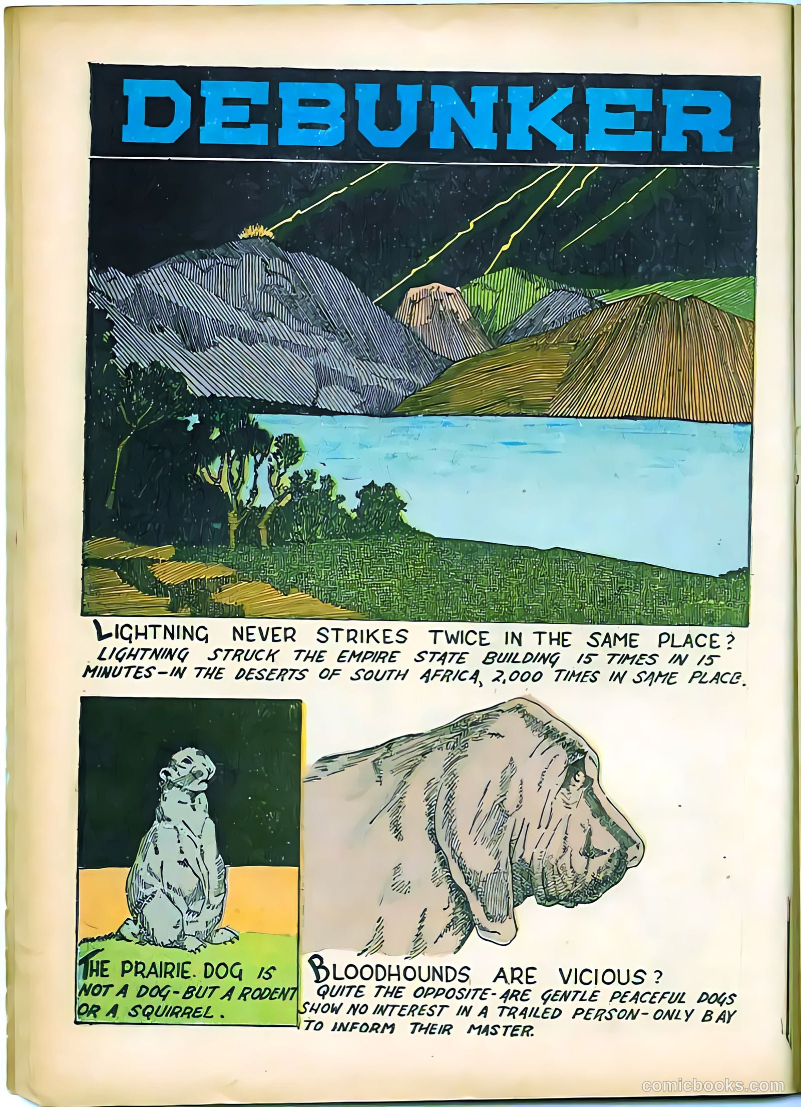 Yellowjacket Comics #4 (1944) — page 22 of 52