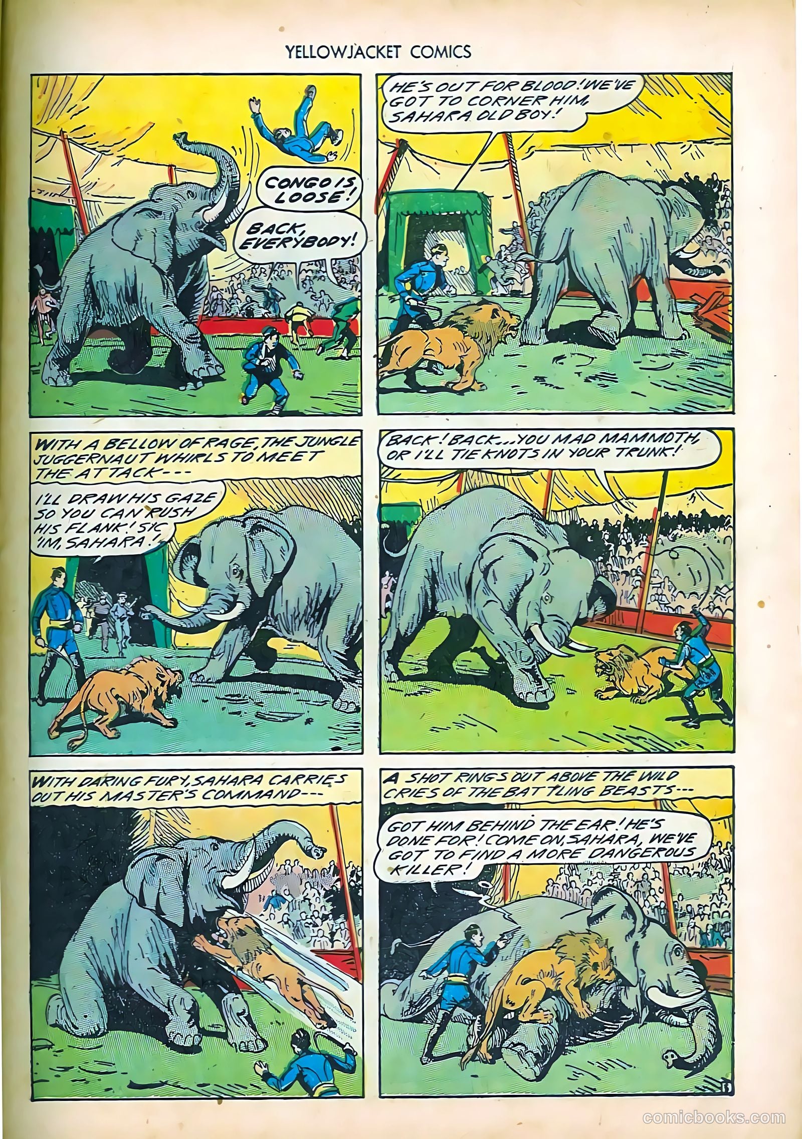 Yellowjacket Comics #5 (1945) — page 35 of 52