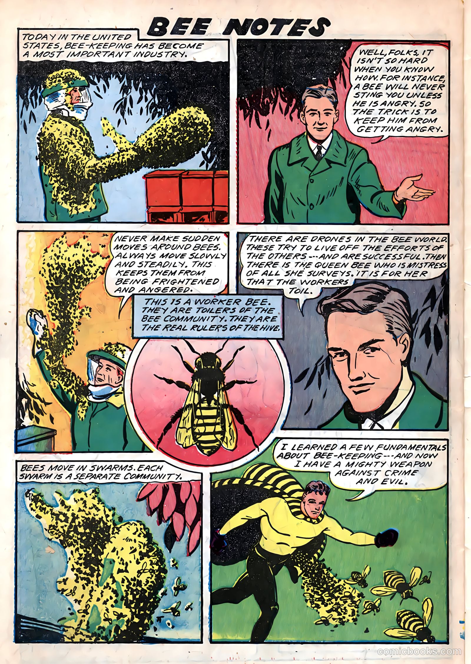 Yellowjacket Comics #6 (1945) — page 50 of 52
