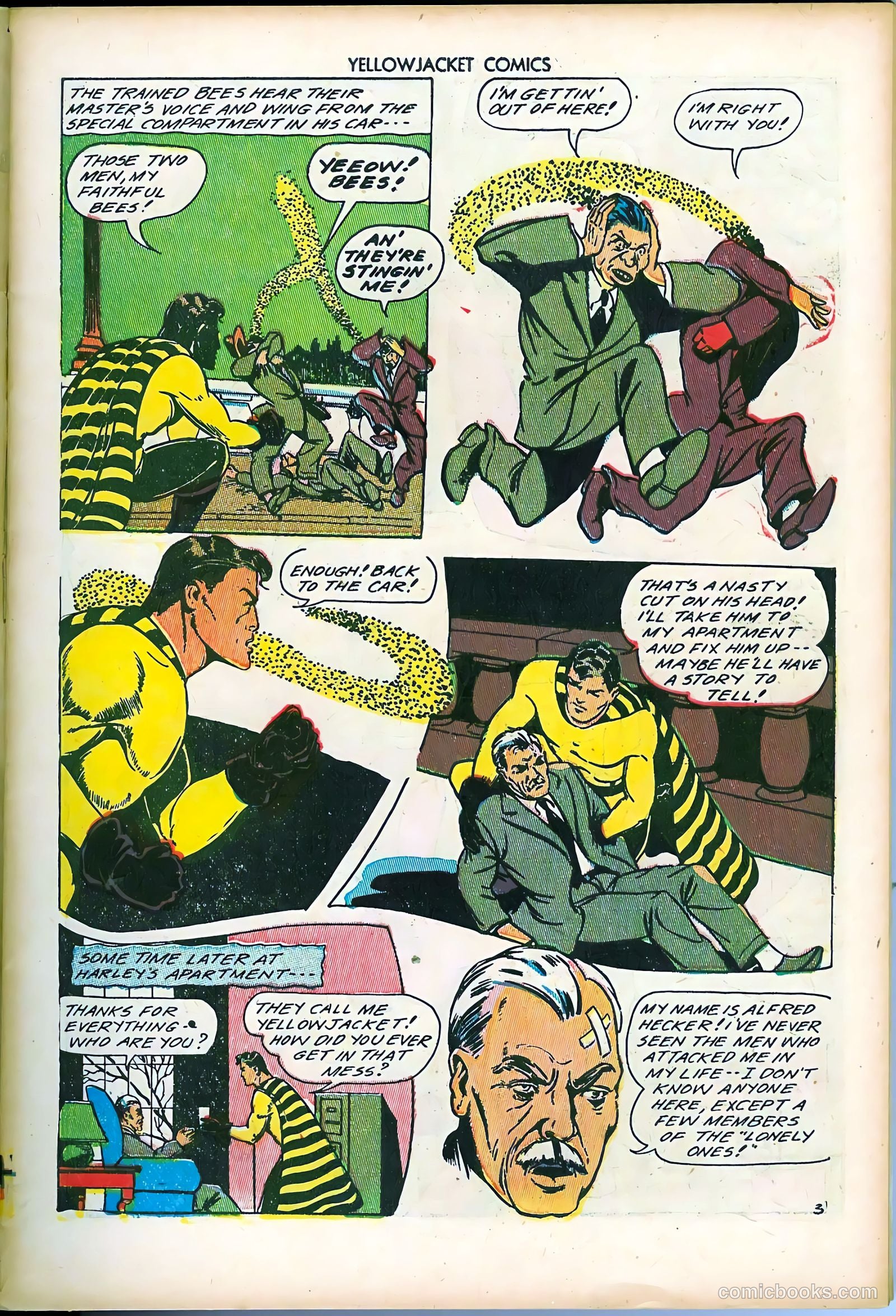 Yellowjacket Comics #7 (1946) — page 5 of 52