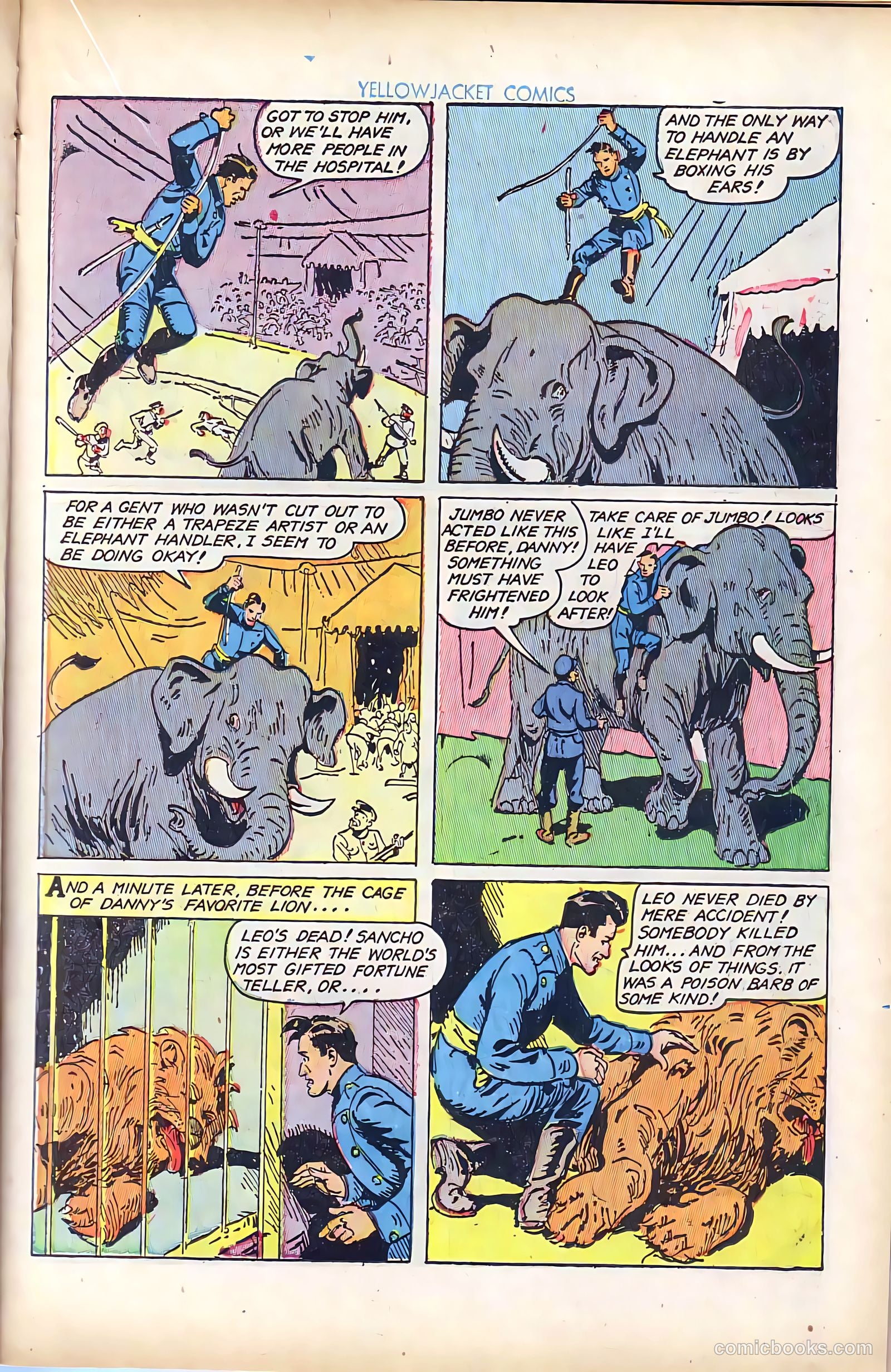 Yellowjacket Comics #8 (1946) — page 24 of 53