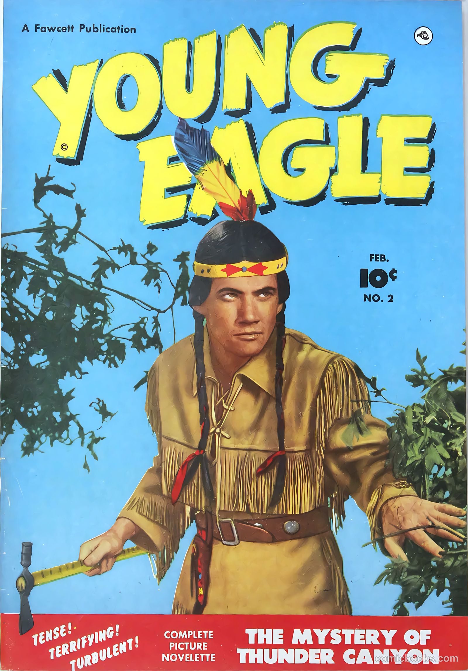 Young Eagle #2