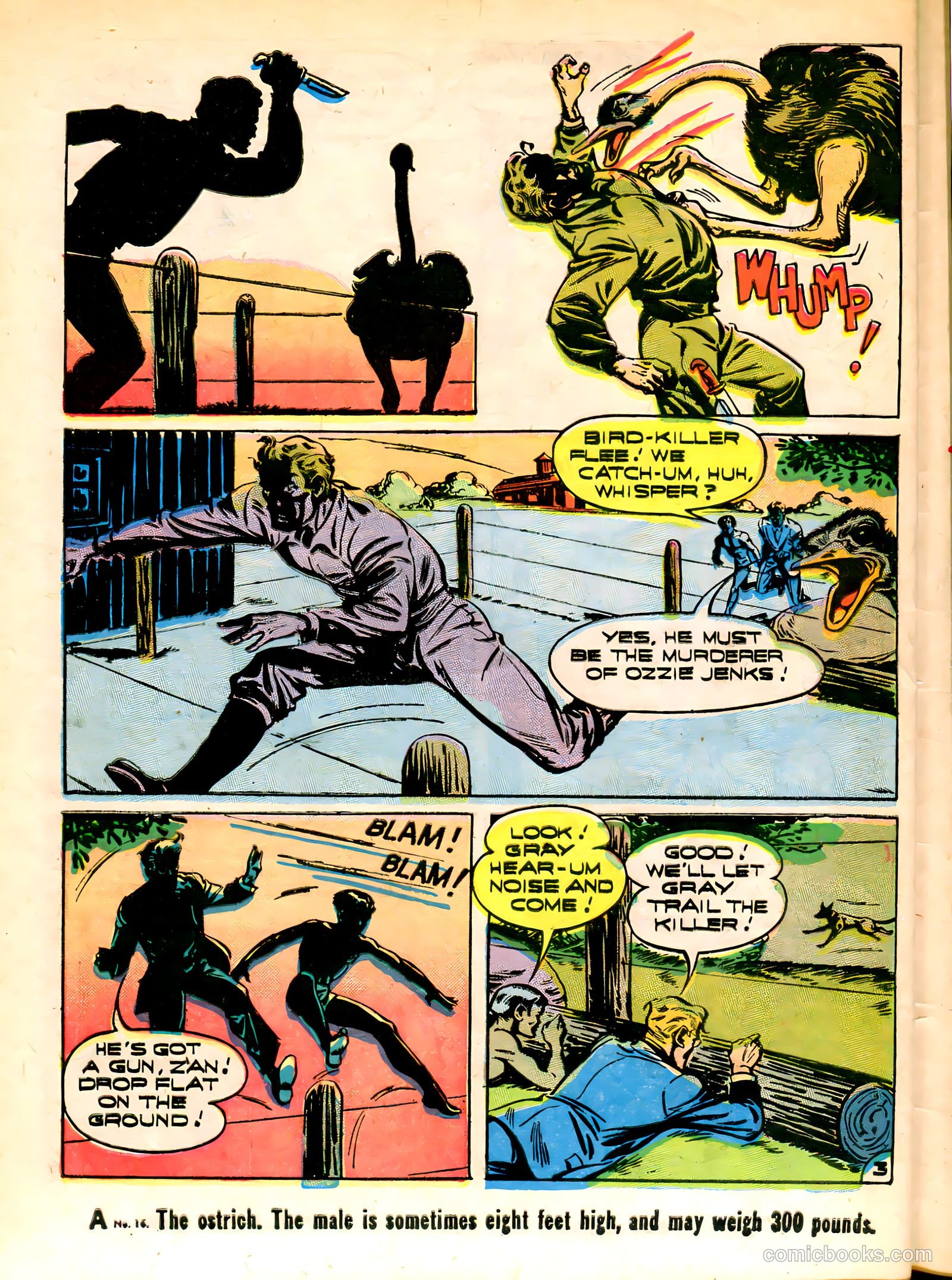 Young King Cole #10 (1948) — page 44 of 52